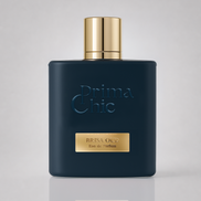 Prima Chic Brisa Oud men's eau de parfum 100ml bottle, spiced woody oud perfume in Dubai UAE