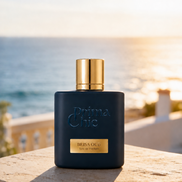 Prima Chic Brisa Oud eau de parfum key ingredients - spiced woody oud men's perfume, Dubai UAE