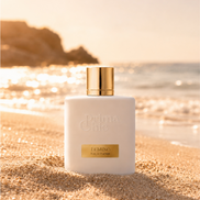 Prima Chic Lumino eau de parfum key ingredients - citrus amber men's perfume, Dubai UAE