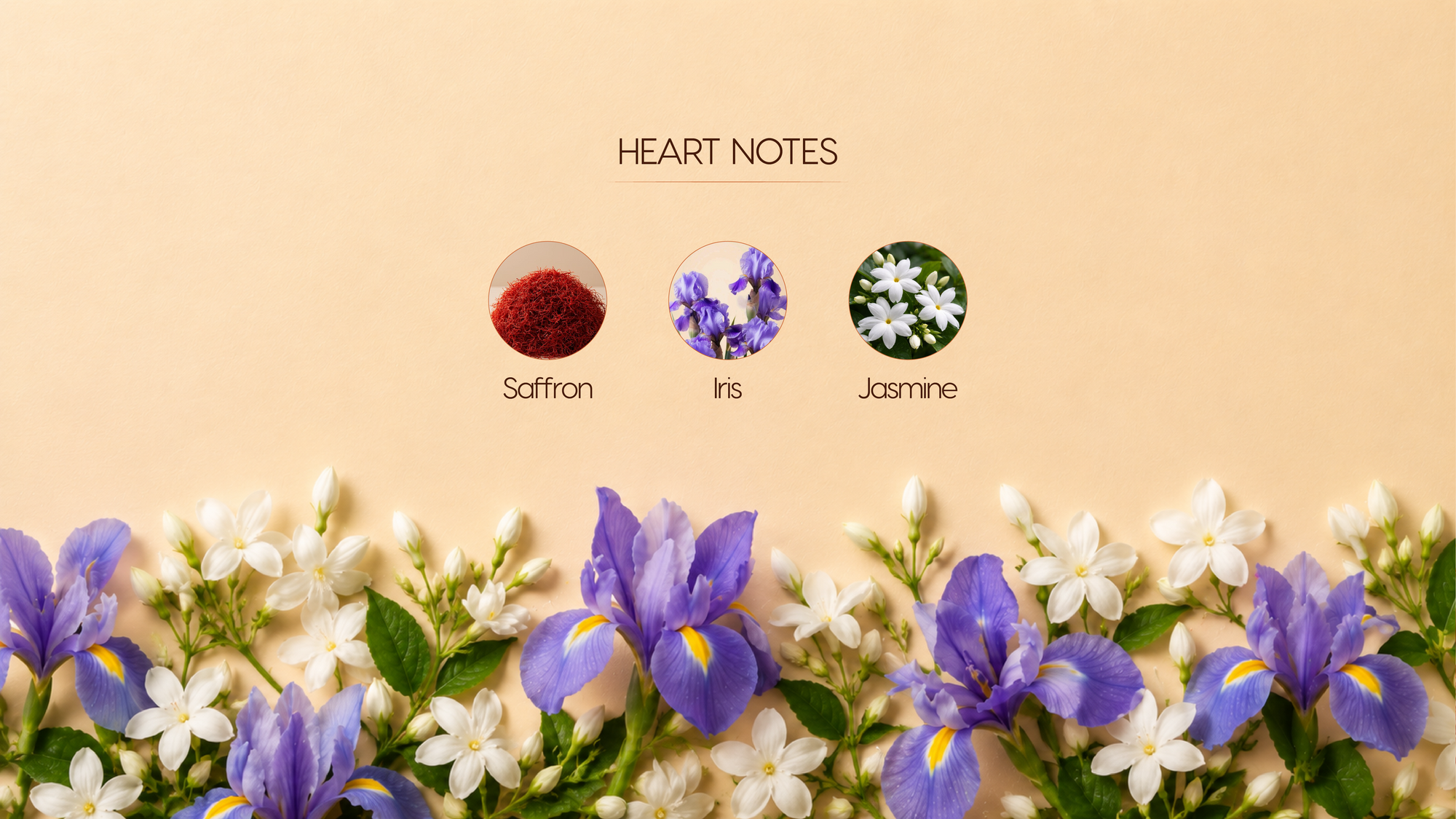 Heart Notes