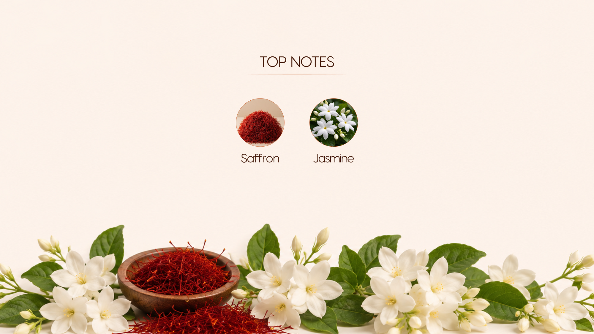 Top Notes