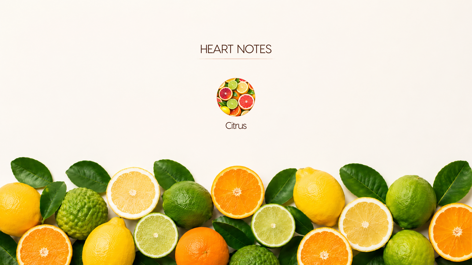 Heart Notes