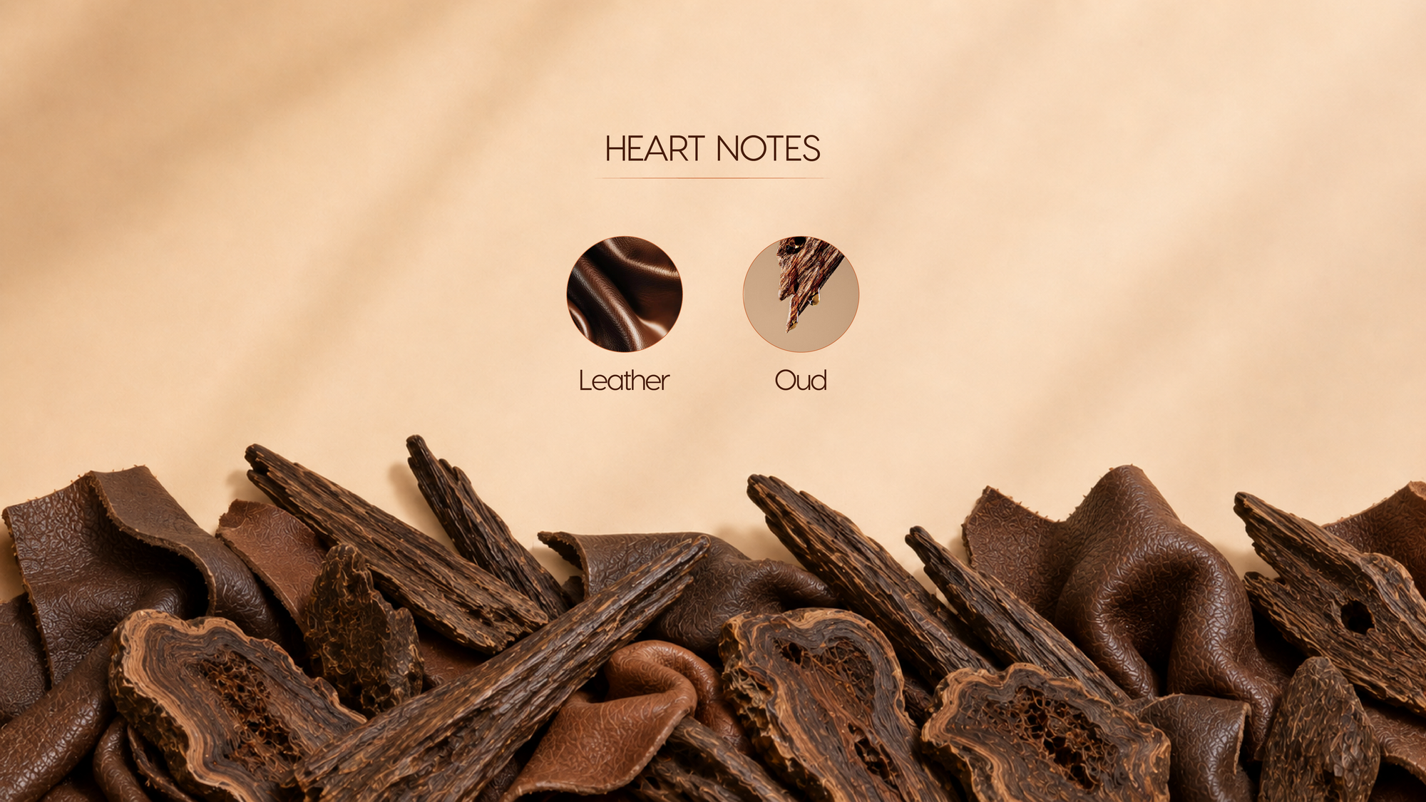 Heart Notes