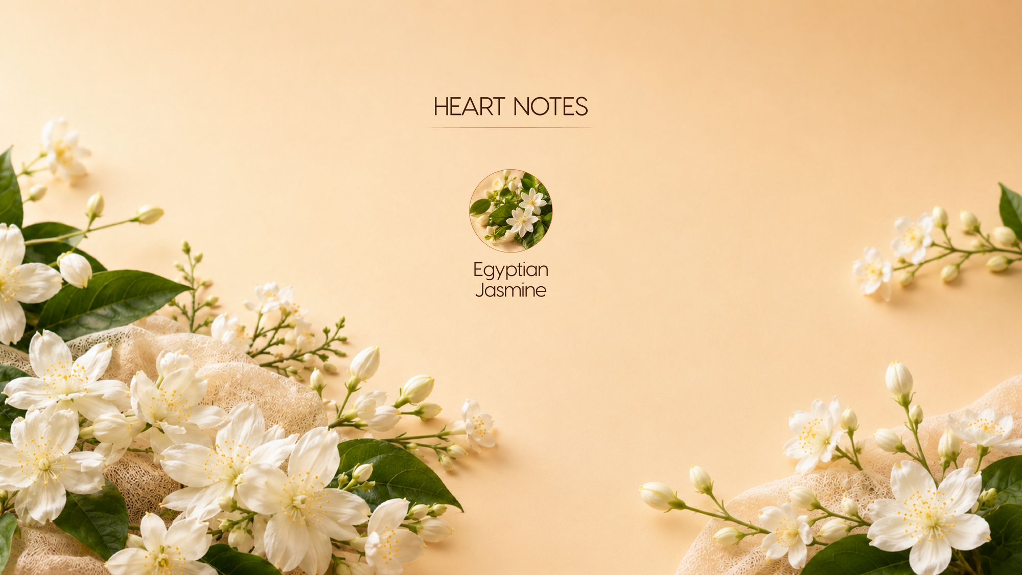Heart Notes