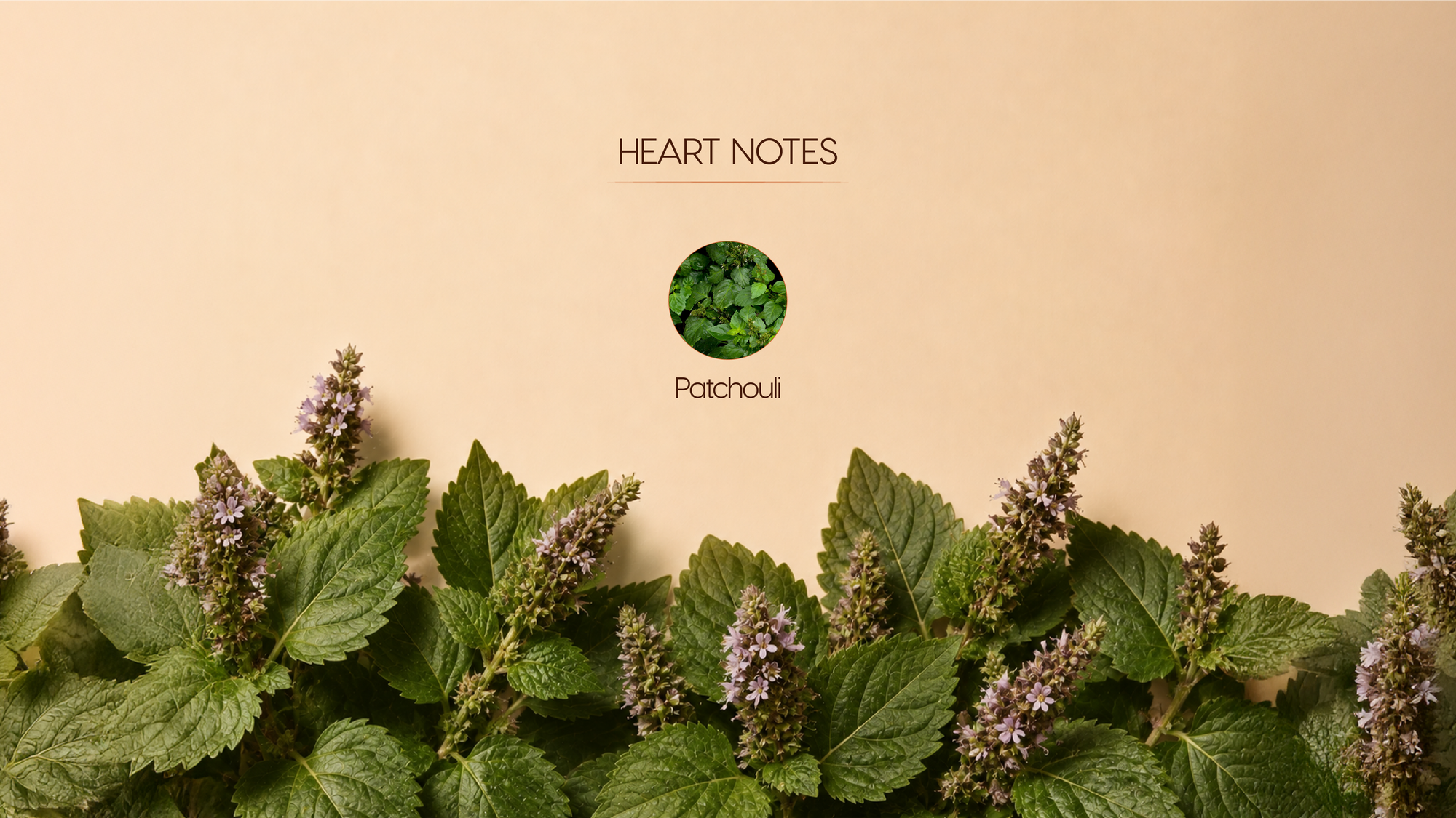 Heart Notes