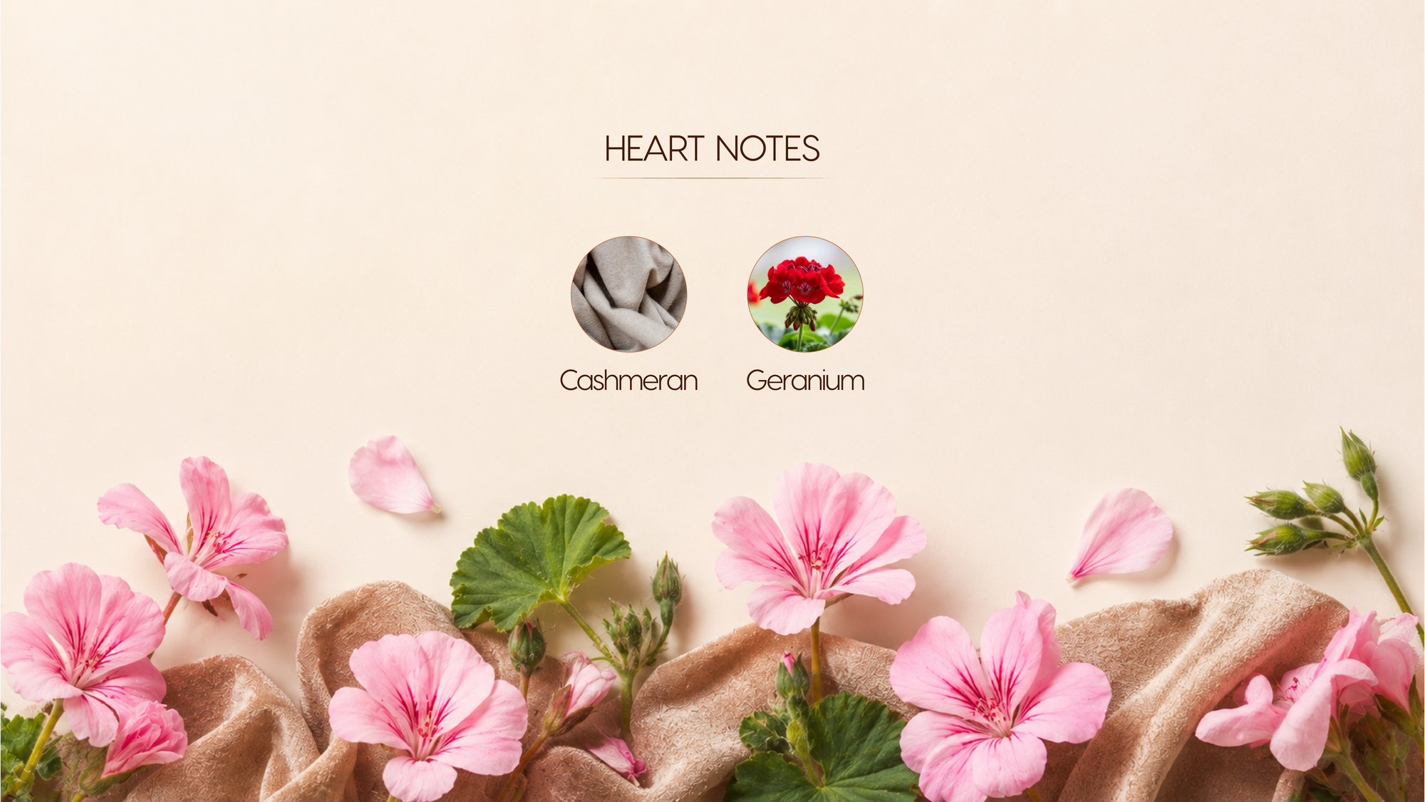 Heart Notes