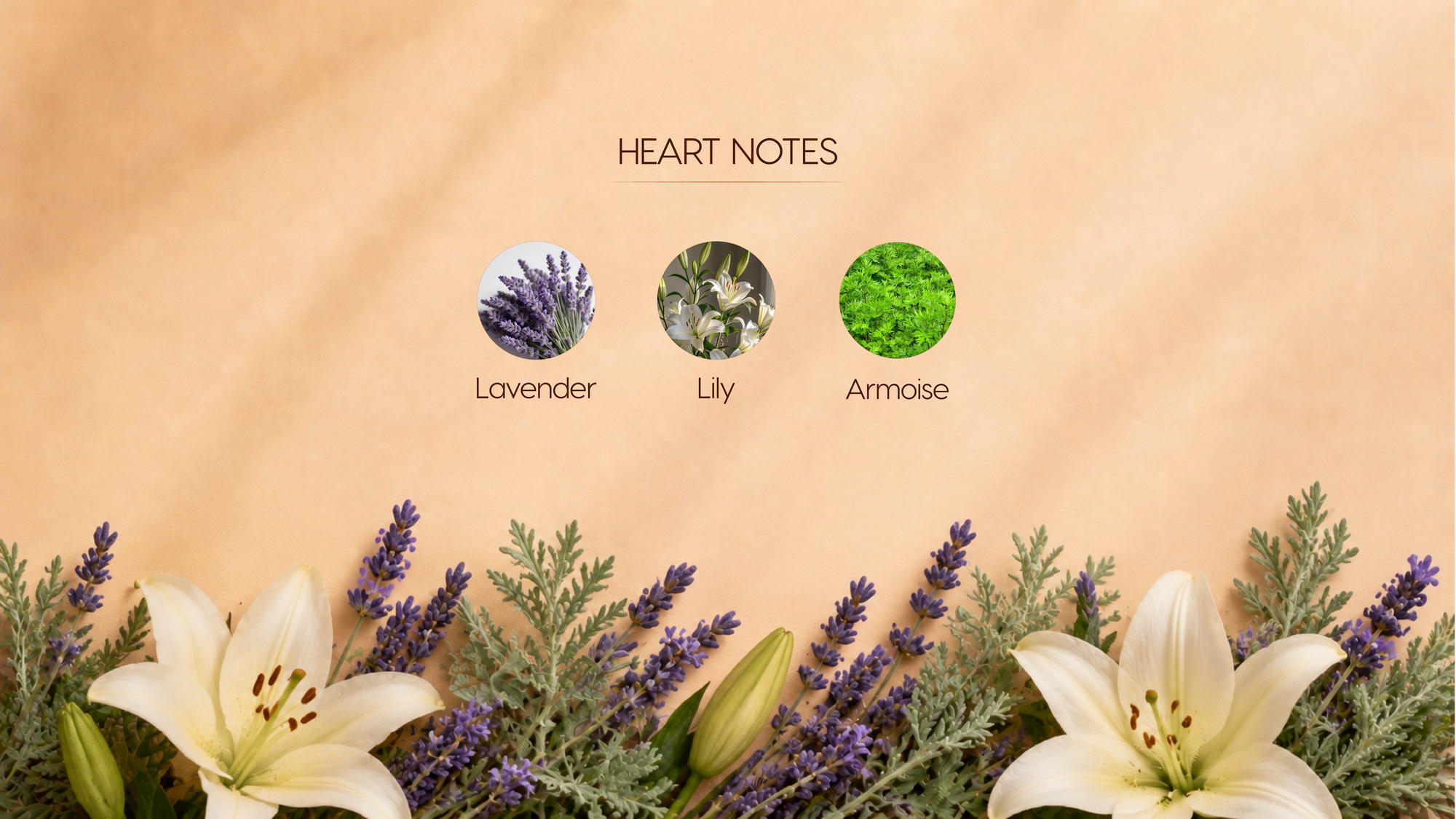 Heart Notes