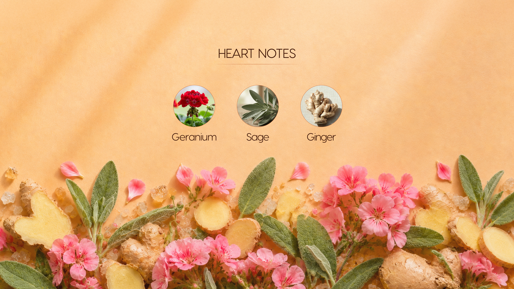 Heart Notes