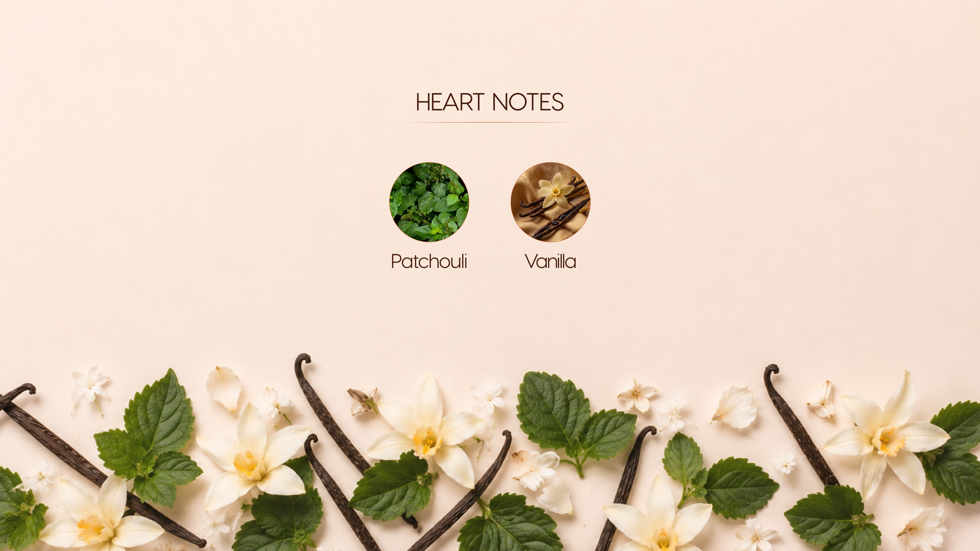 Heart Notes