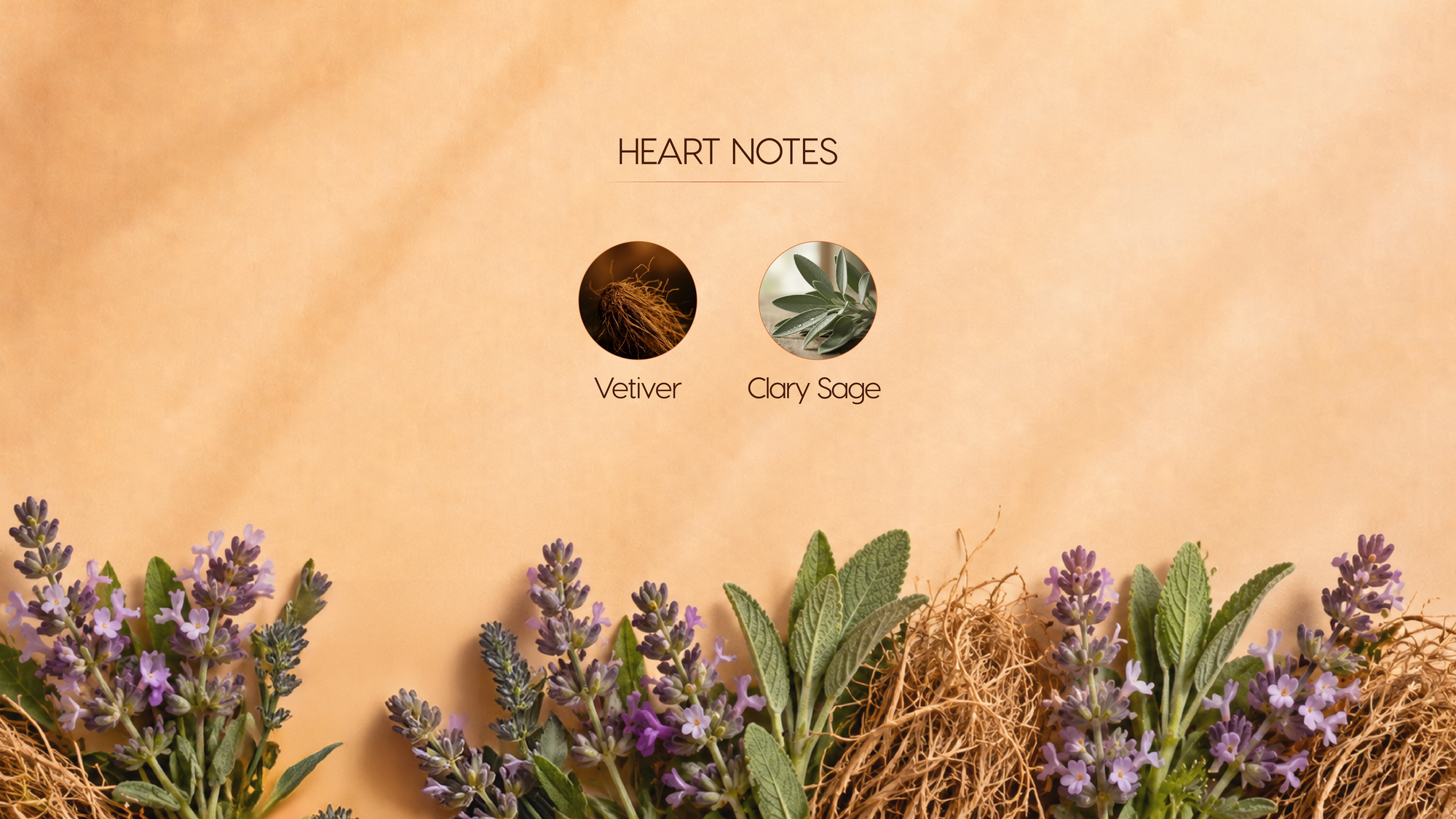 Heart Notes