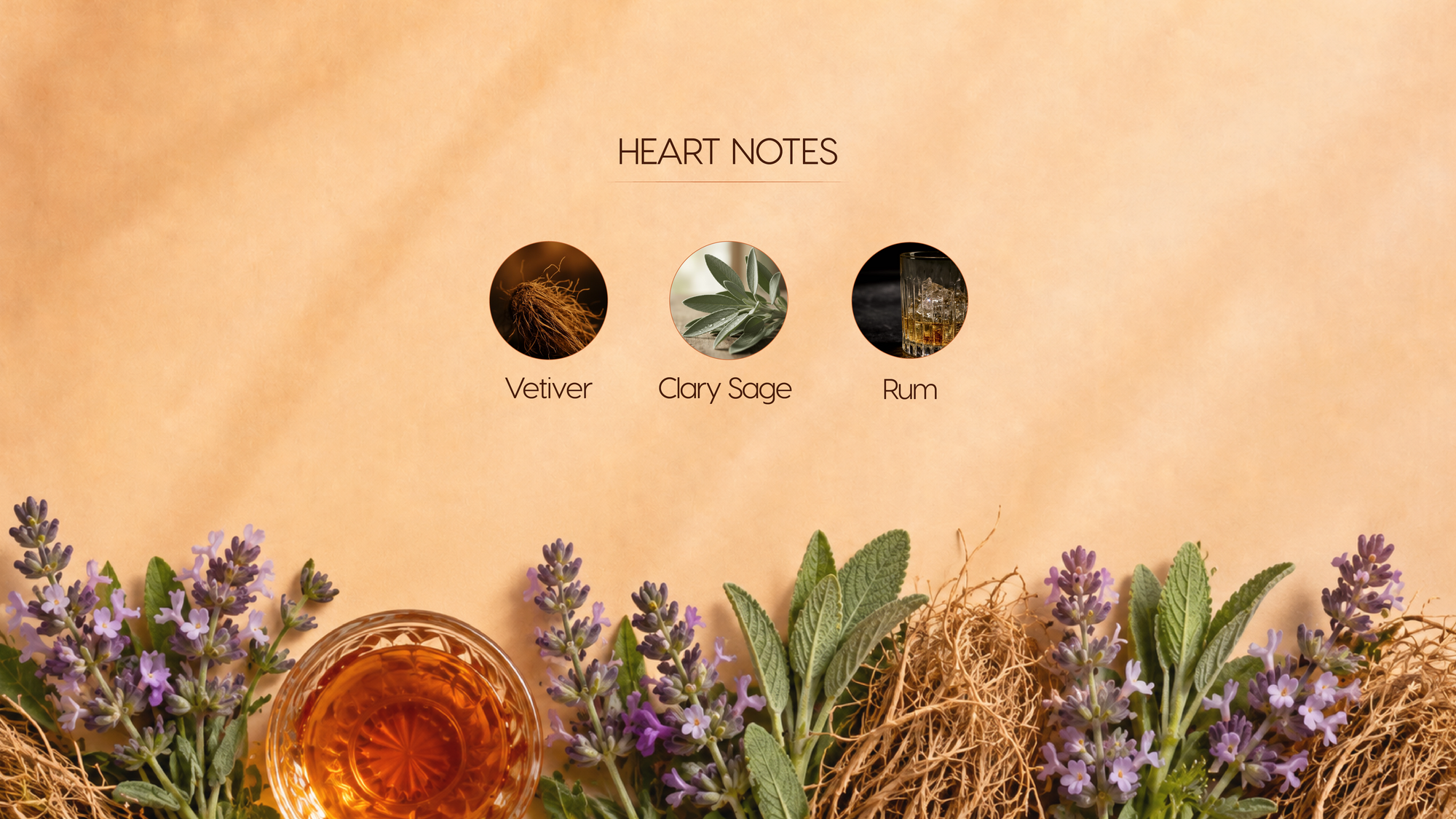 Heart Notes