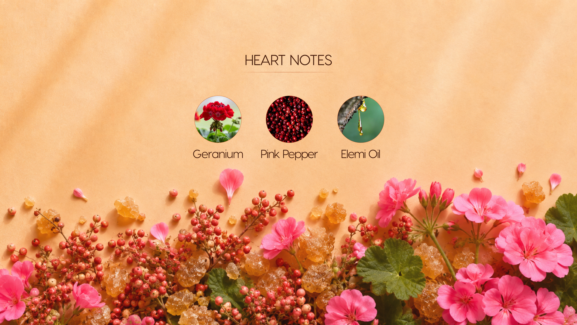 Heart Notes