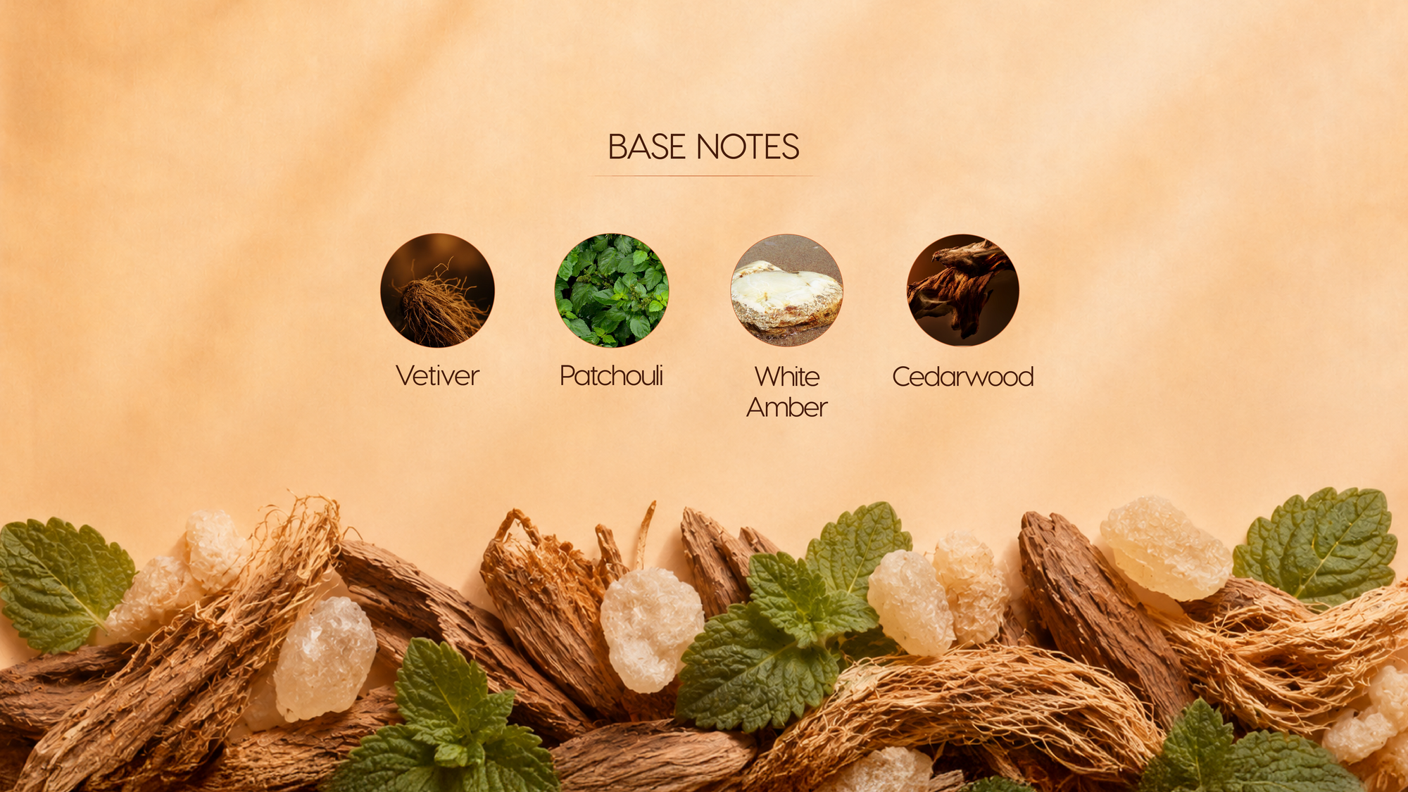 Base Notes