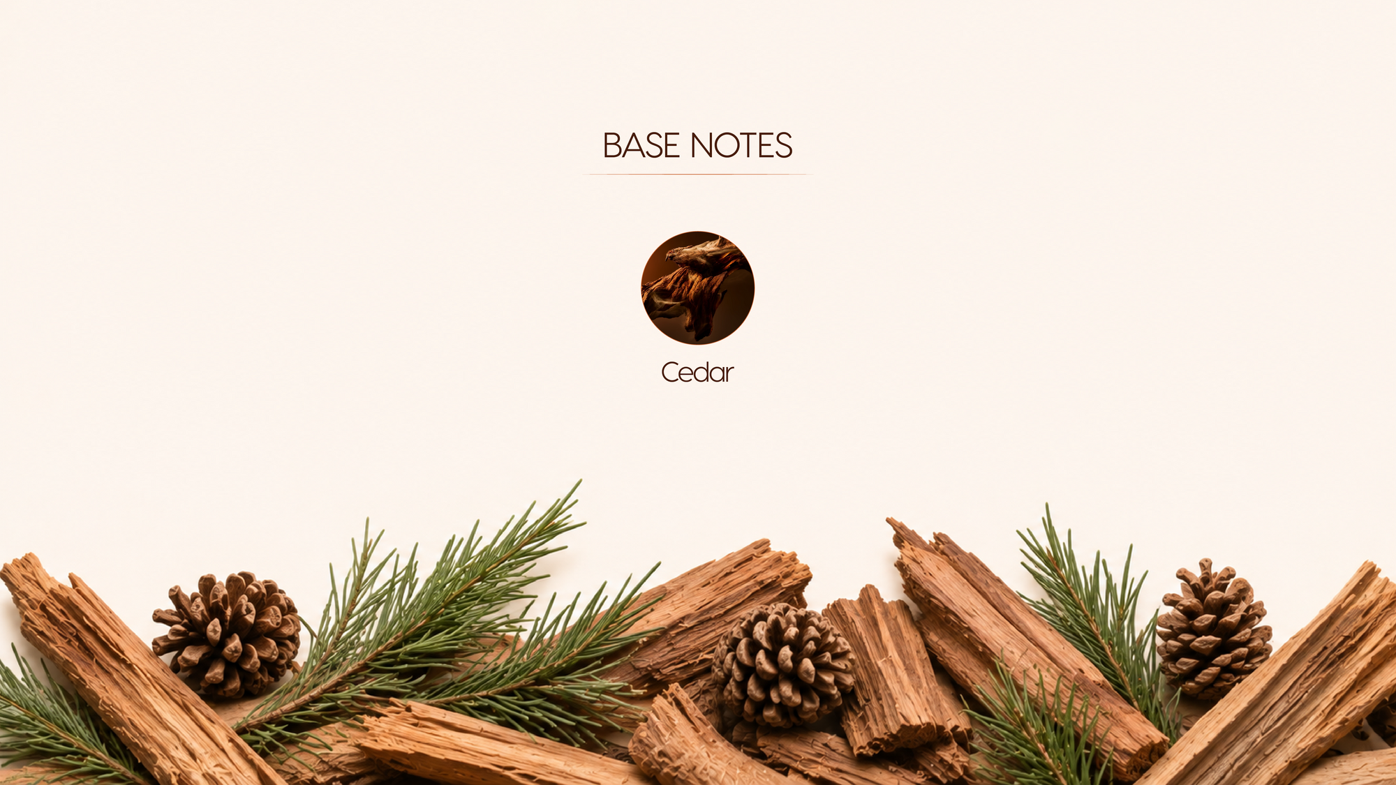 Base Notes