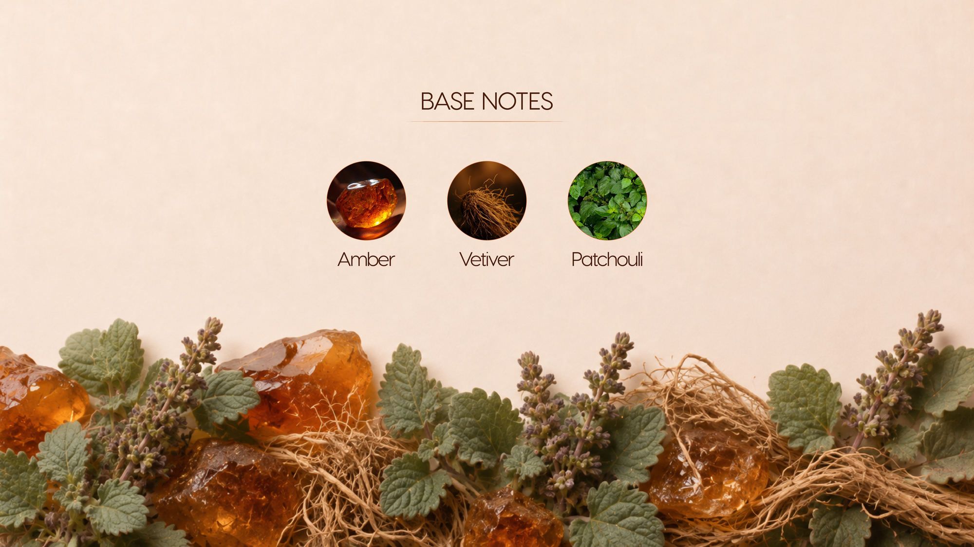 Base Notes
