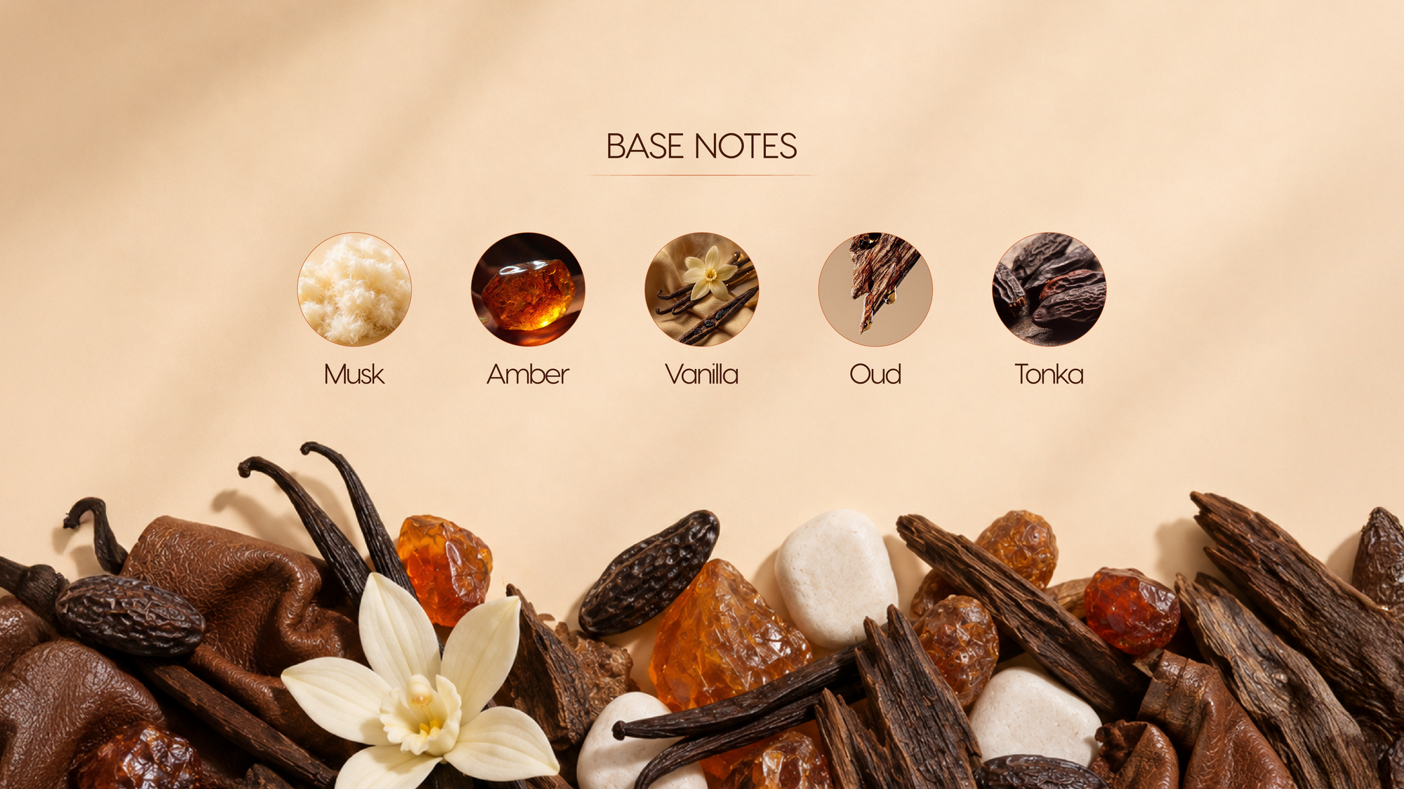 Base Notes