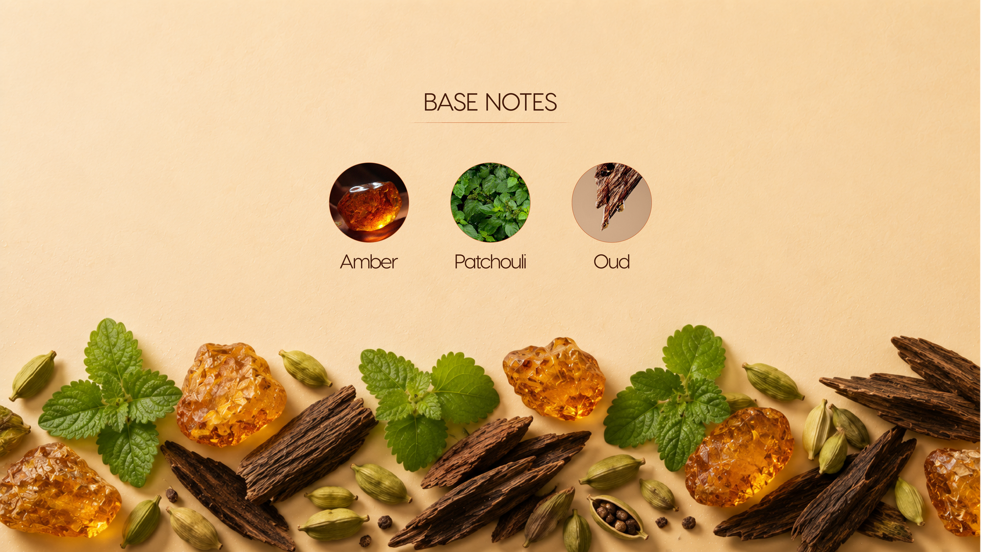 Base Notes