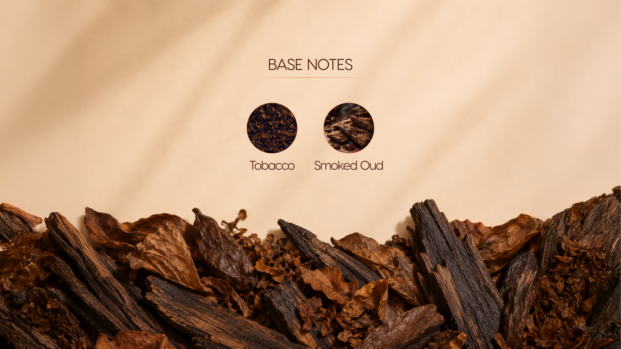 Base Notes