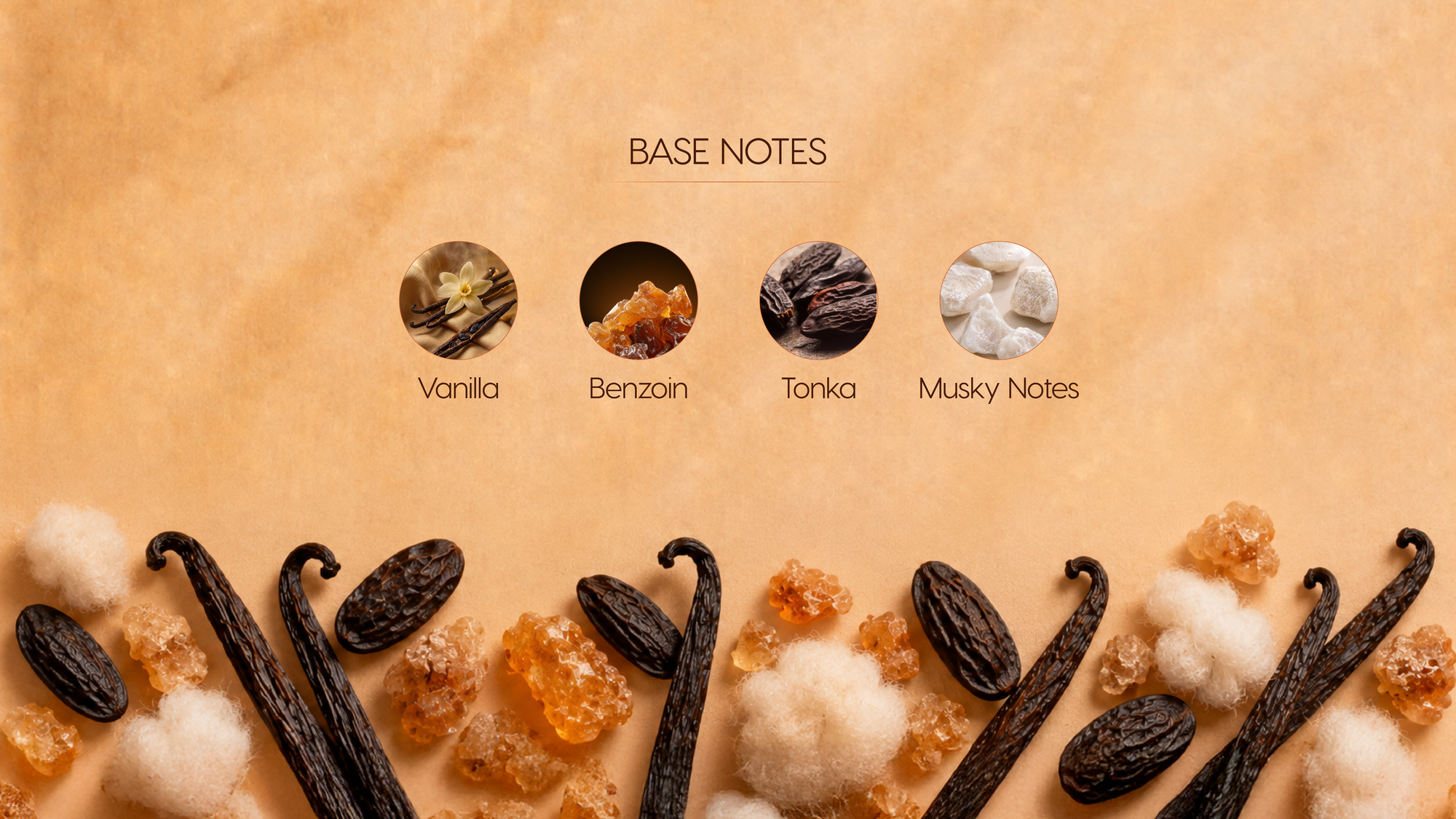 Base Notes