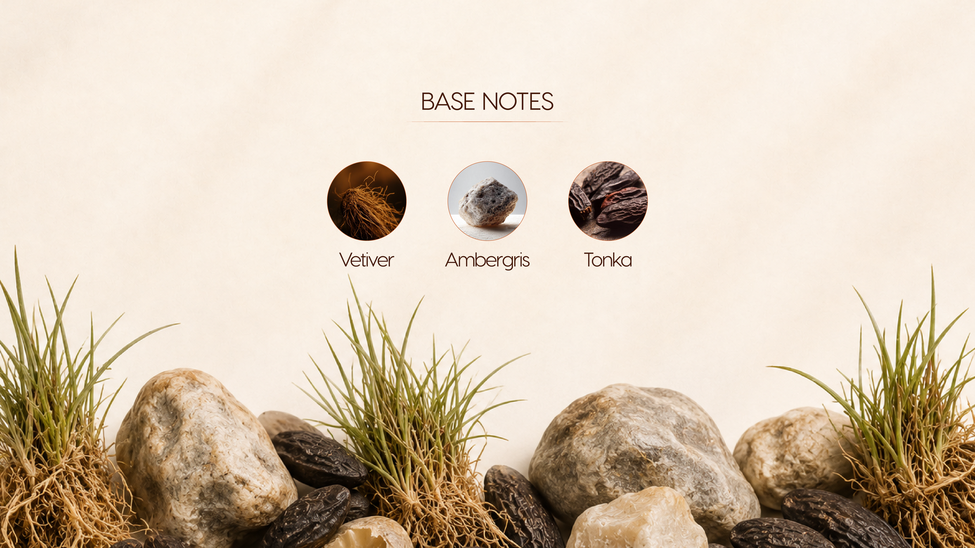 Base Notes