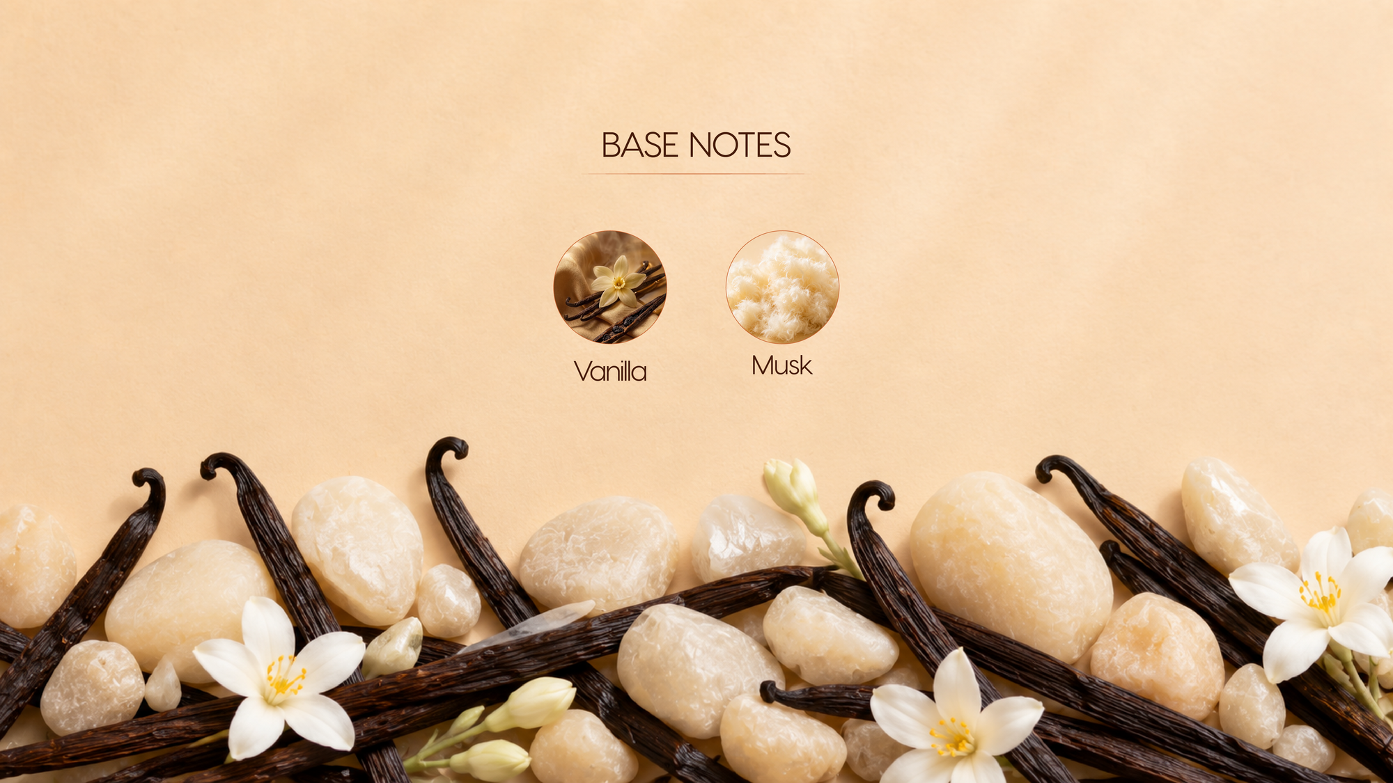 Base Notes