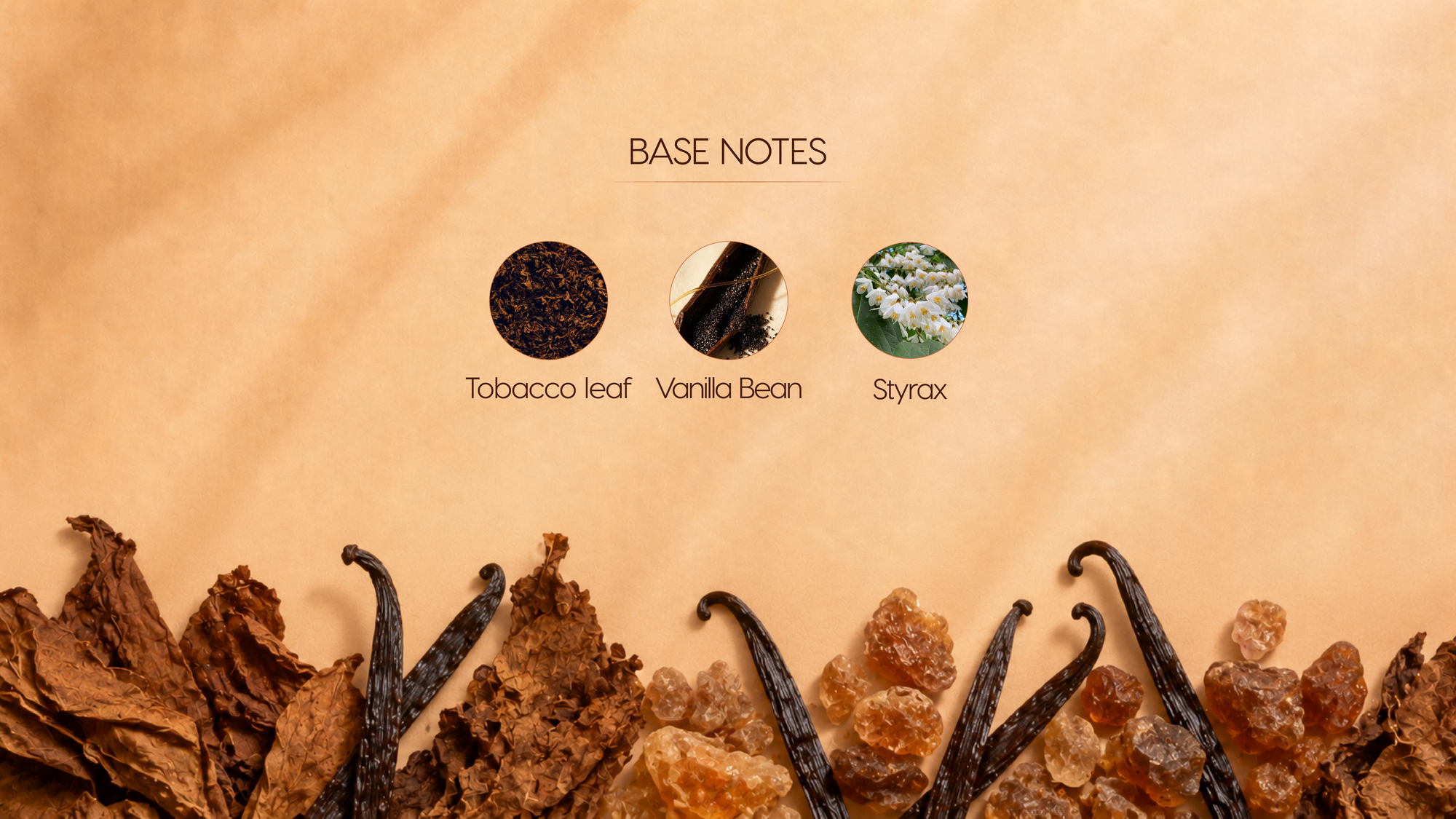 Base Notes