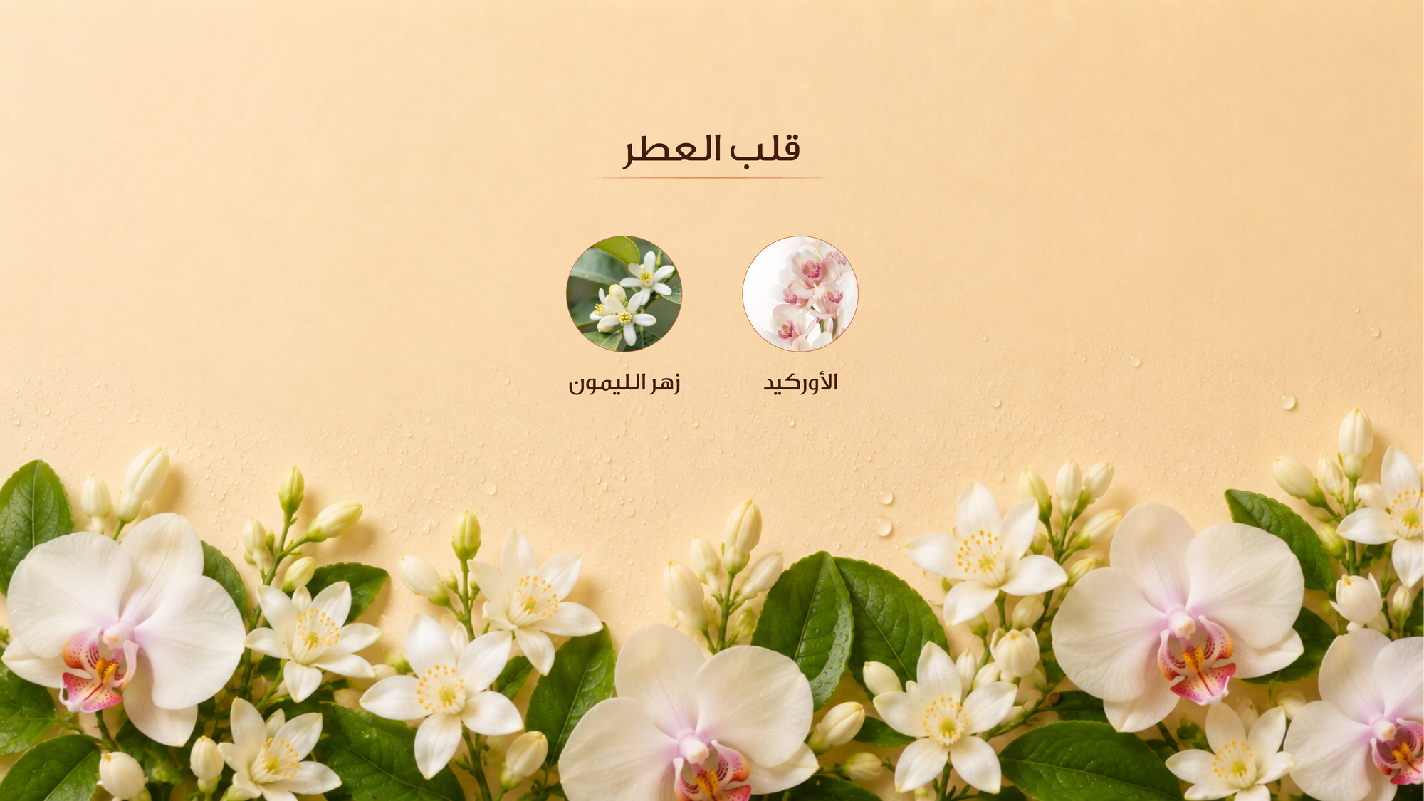 نوتات القلب