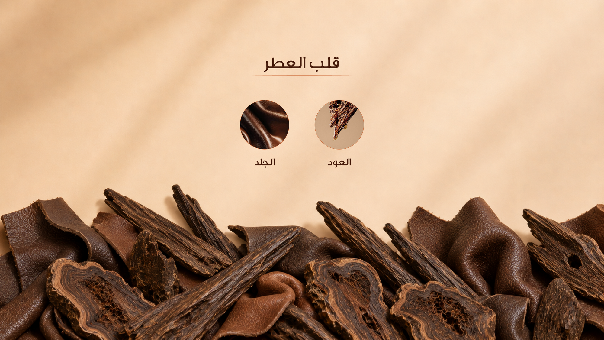 نوتات القلب