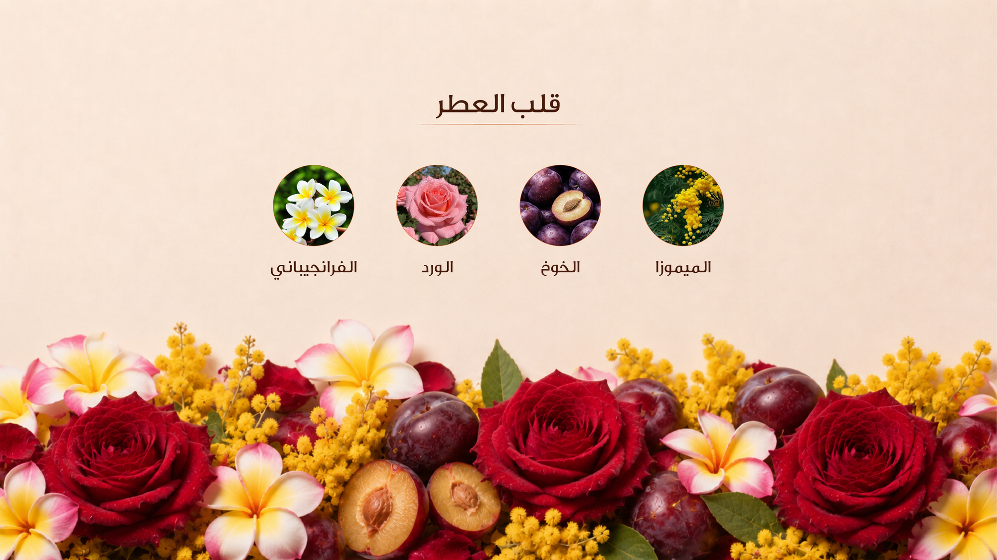 نوتات القلب