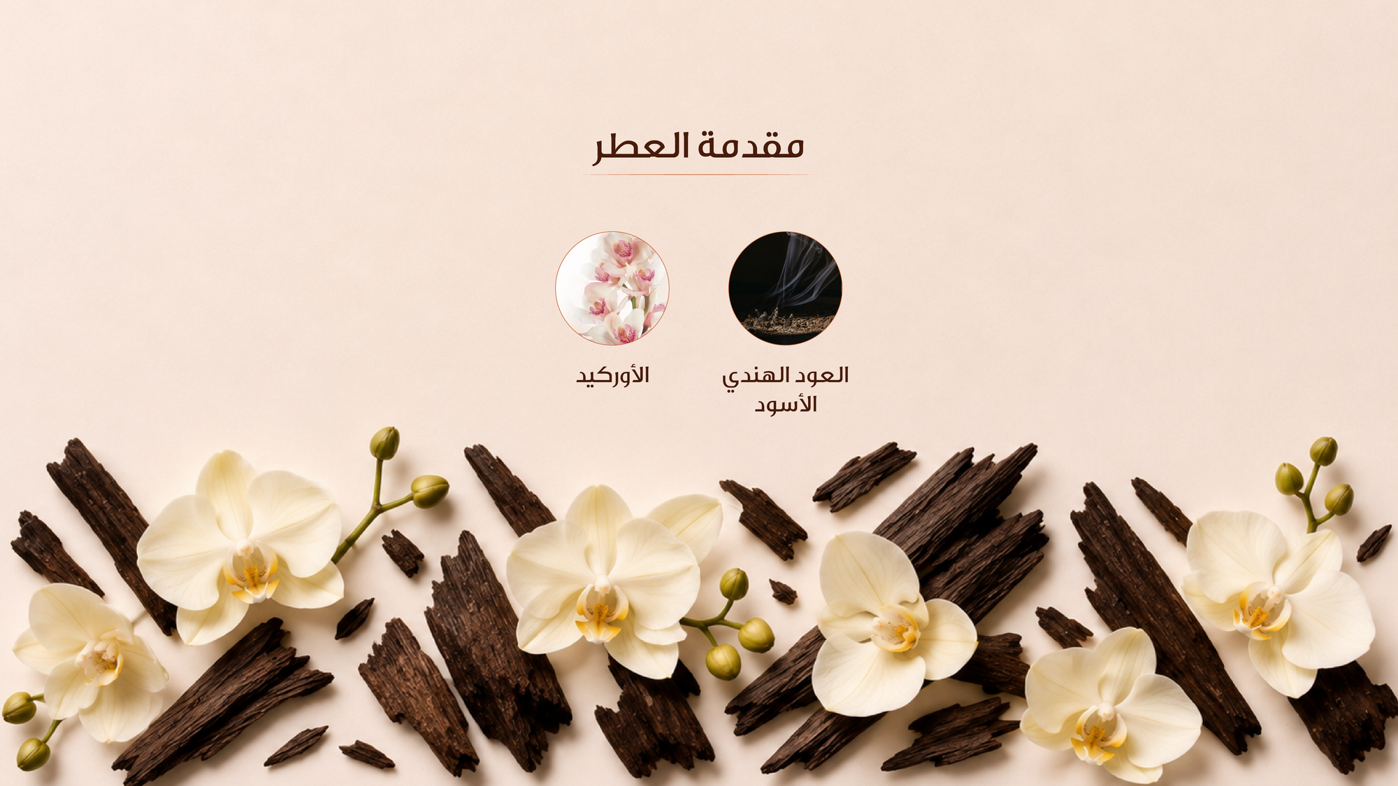 نوتات المقدمة