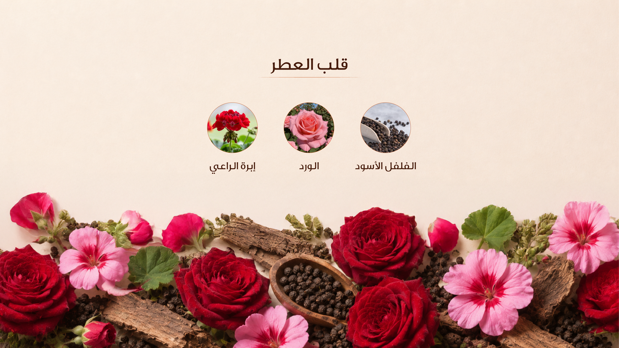 نوتات القلب