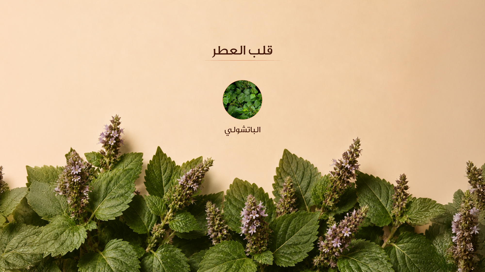 نوتات القلب