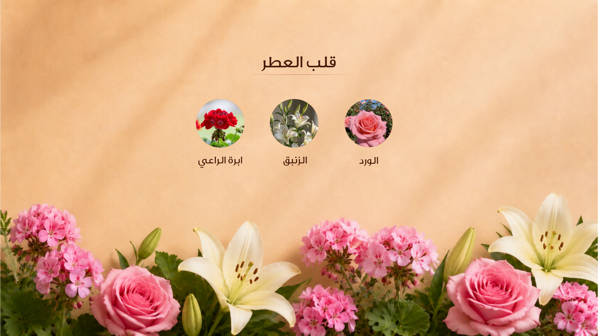 نوتات القلب