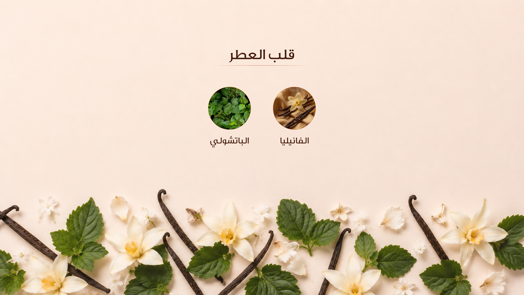 نوتات القلب