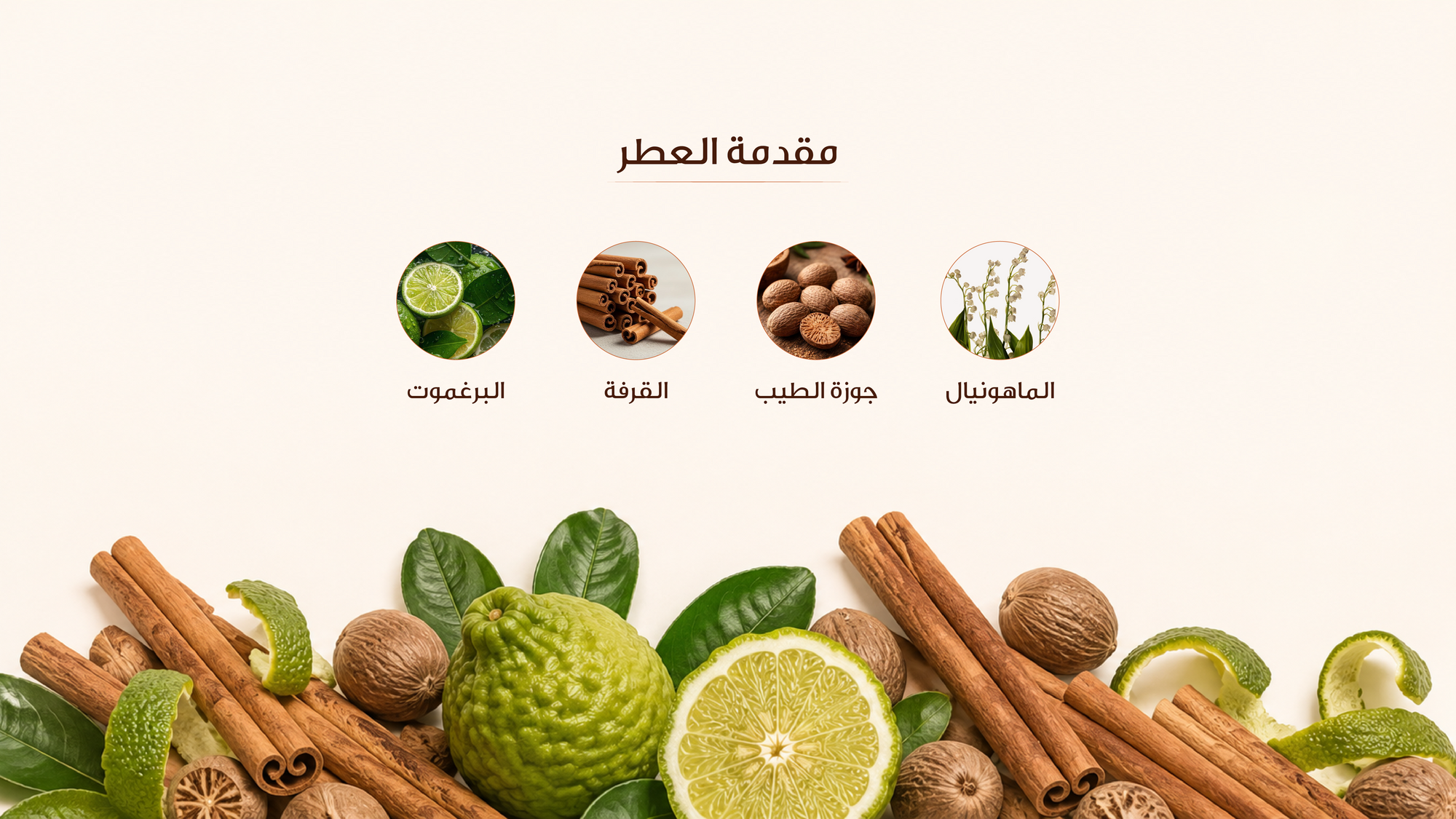 نوتات القلب