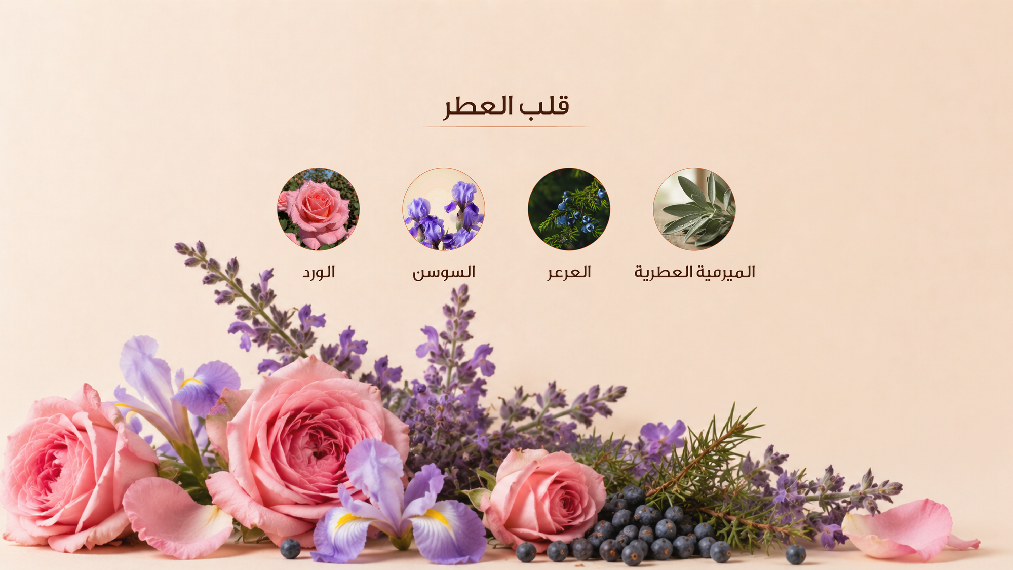 نوتات القلب