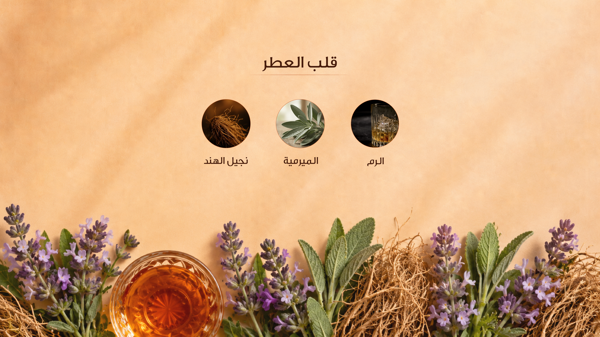 نوتات القلب