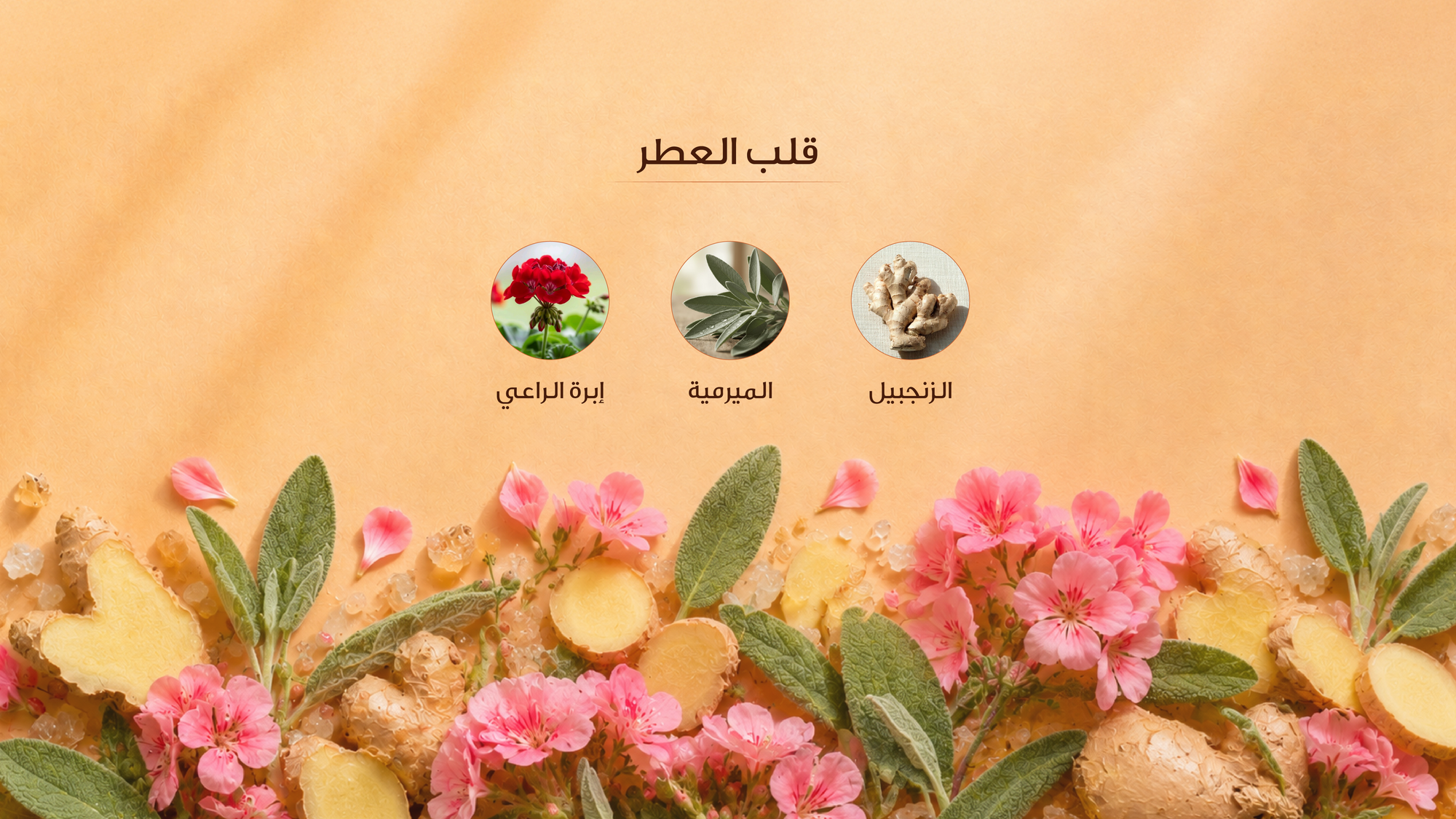 نوتات القلب