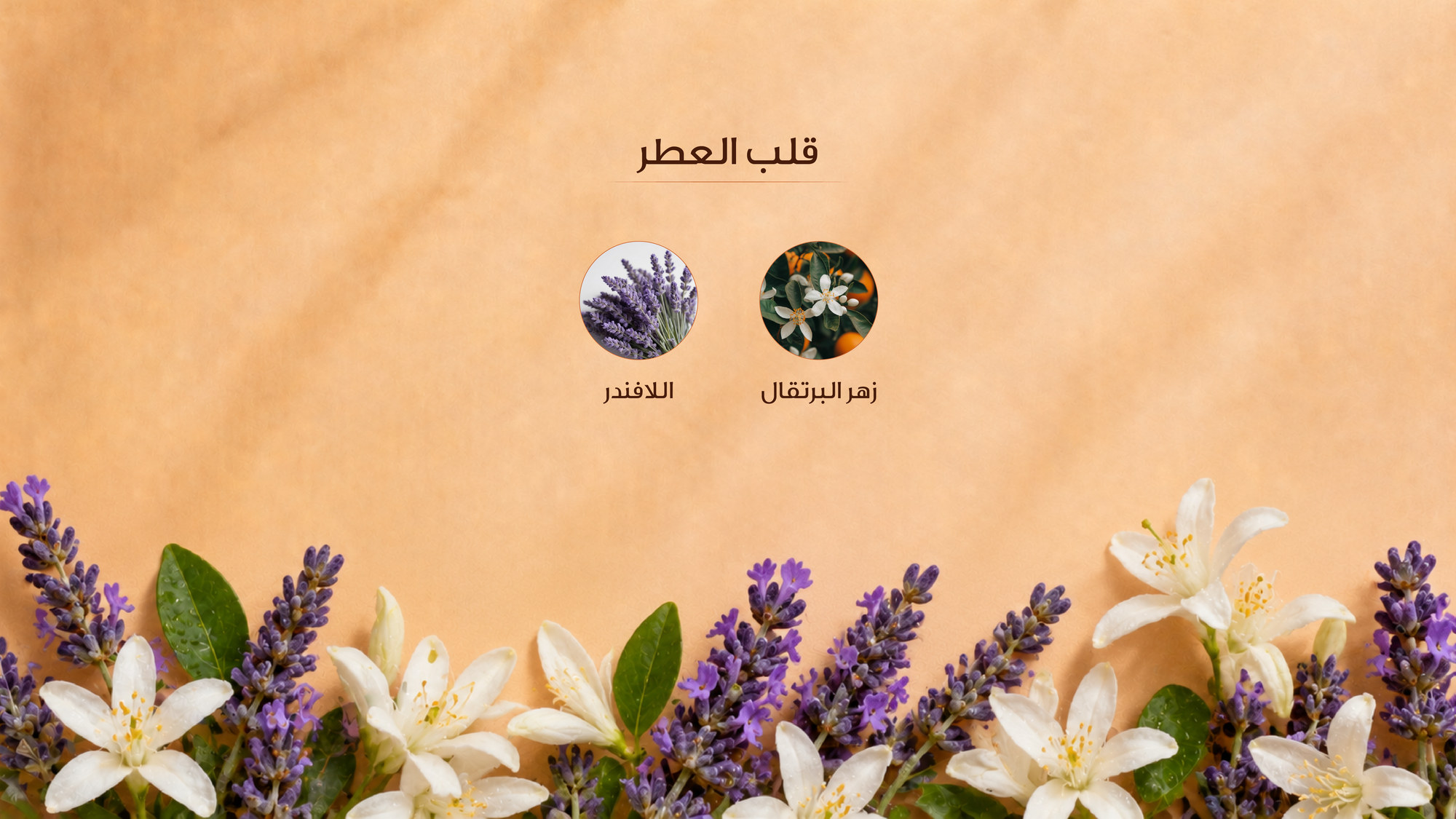 نوتات القلب
