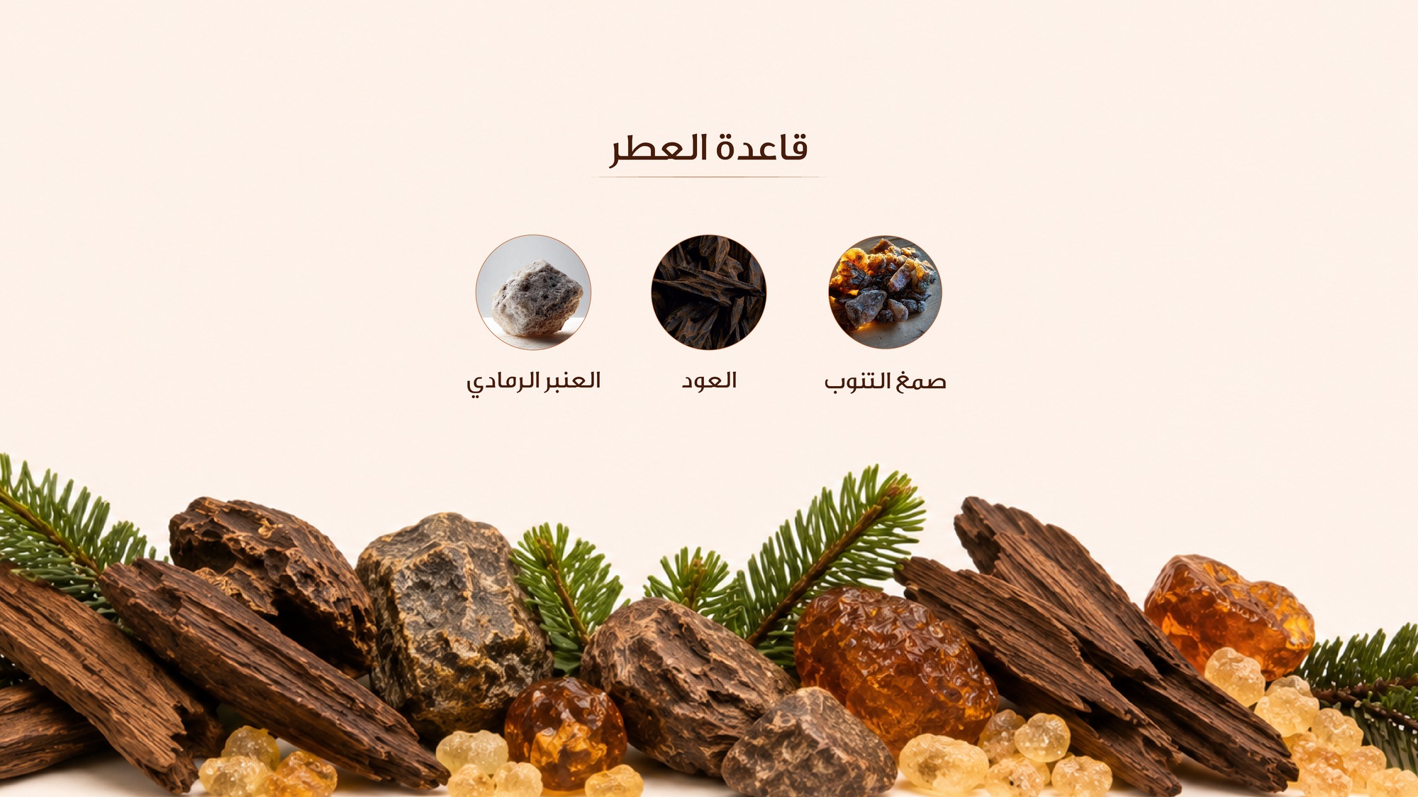 نوتات القاعدة