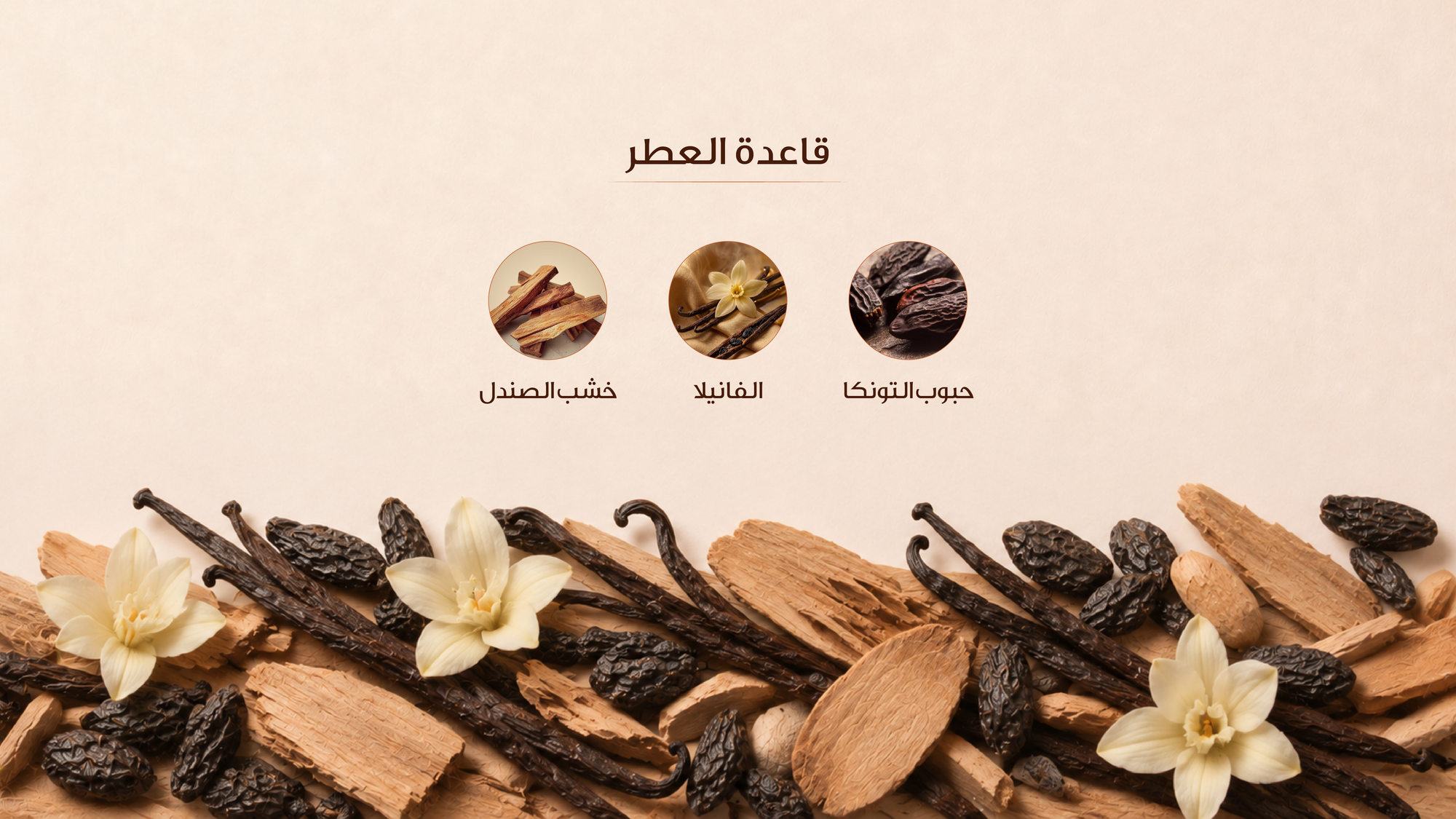 نوتات القاعدة