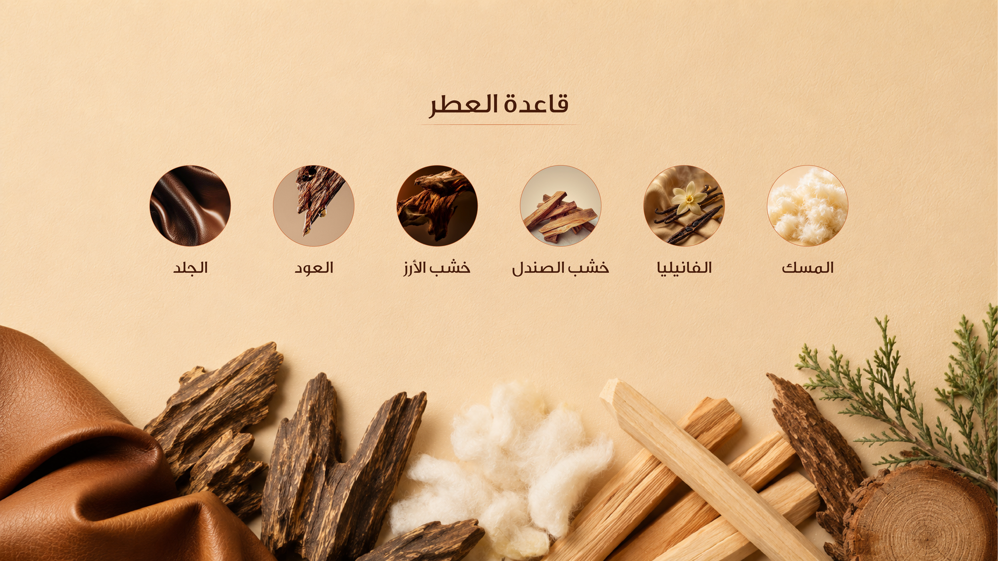 نوتات القاعدة