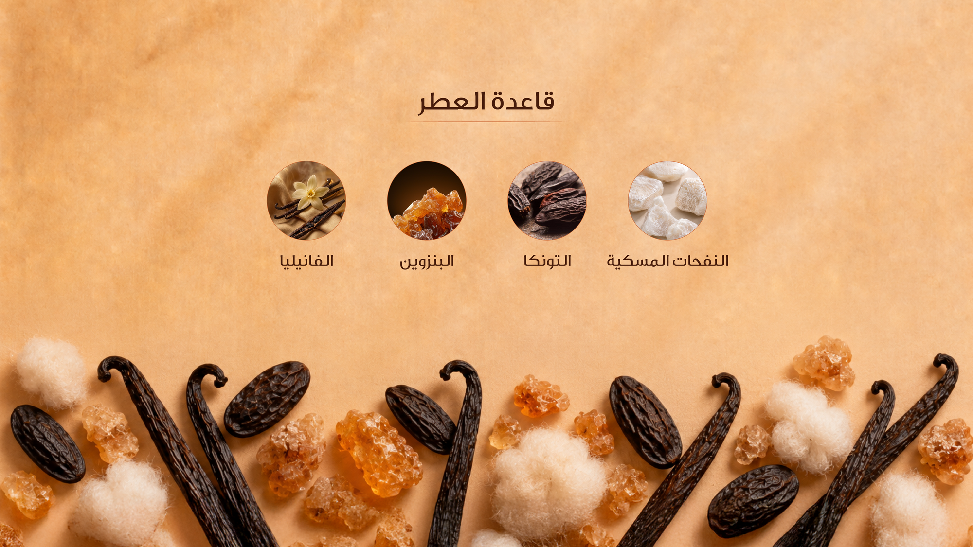 نوتات القاعدة