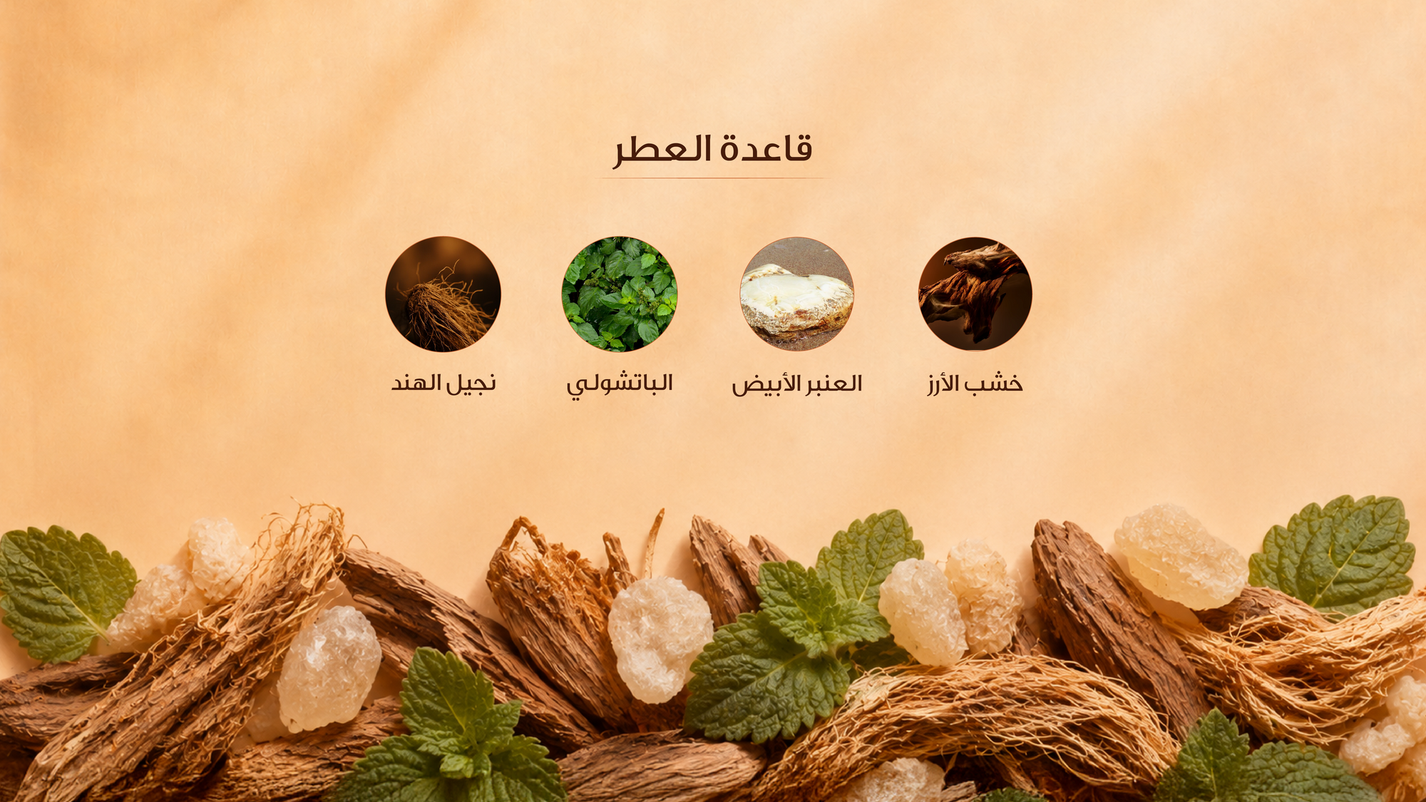 نوتات القاعدة