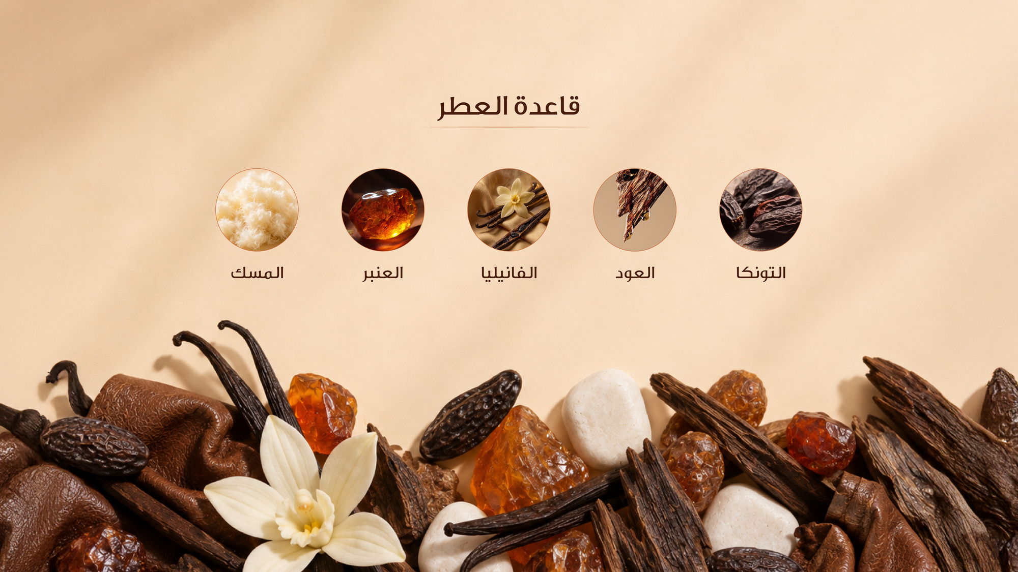 نوتات القاعدة