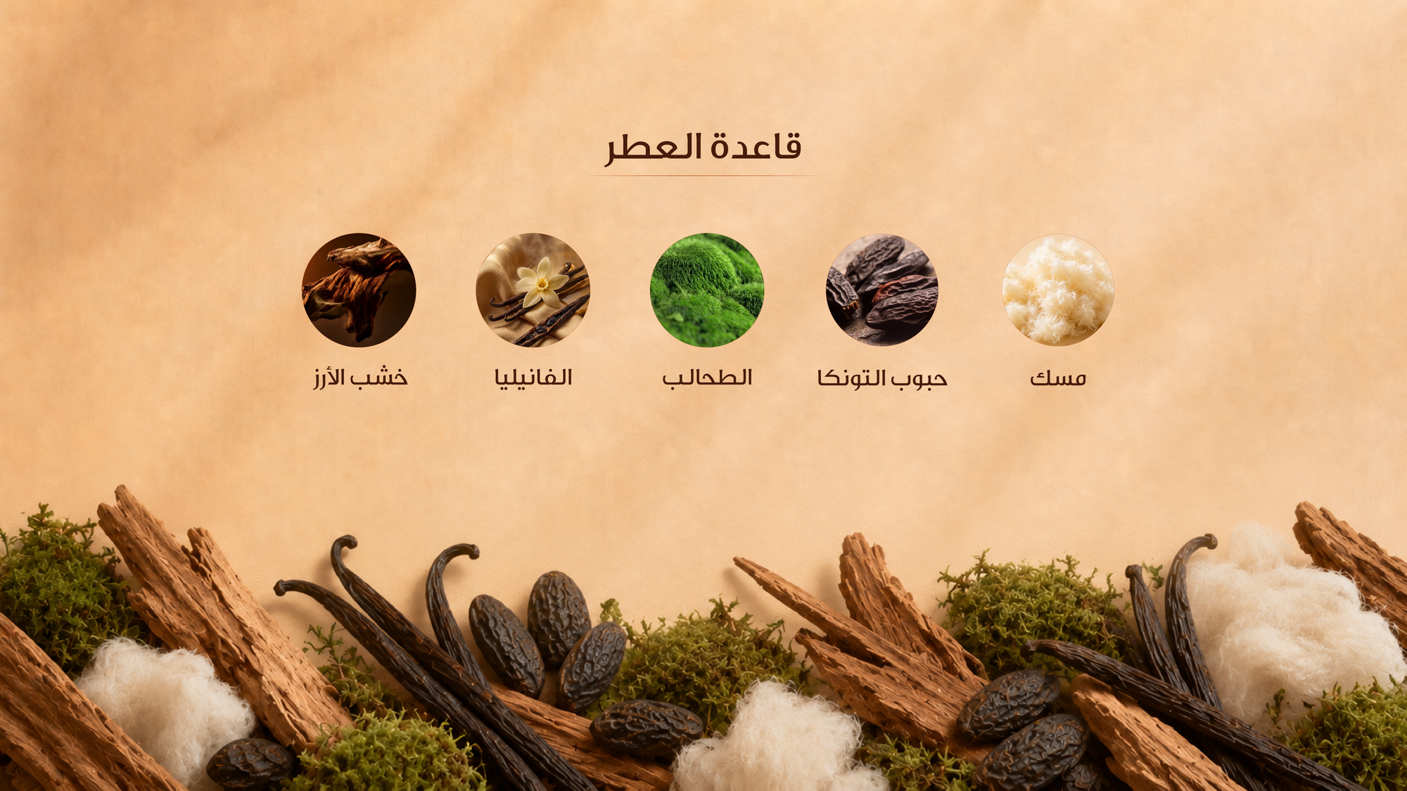 نوتات القاعدة