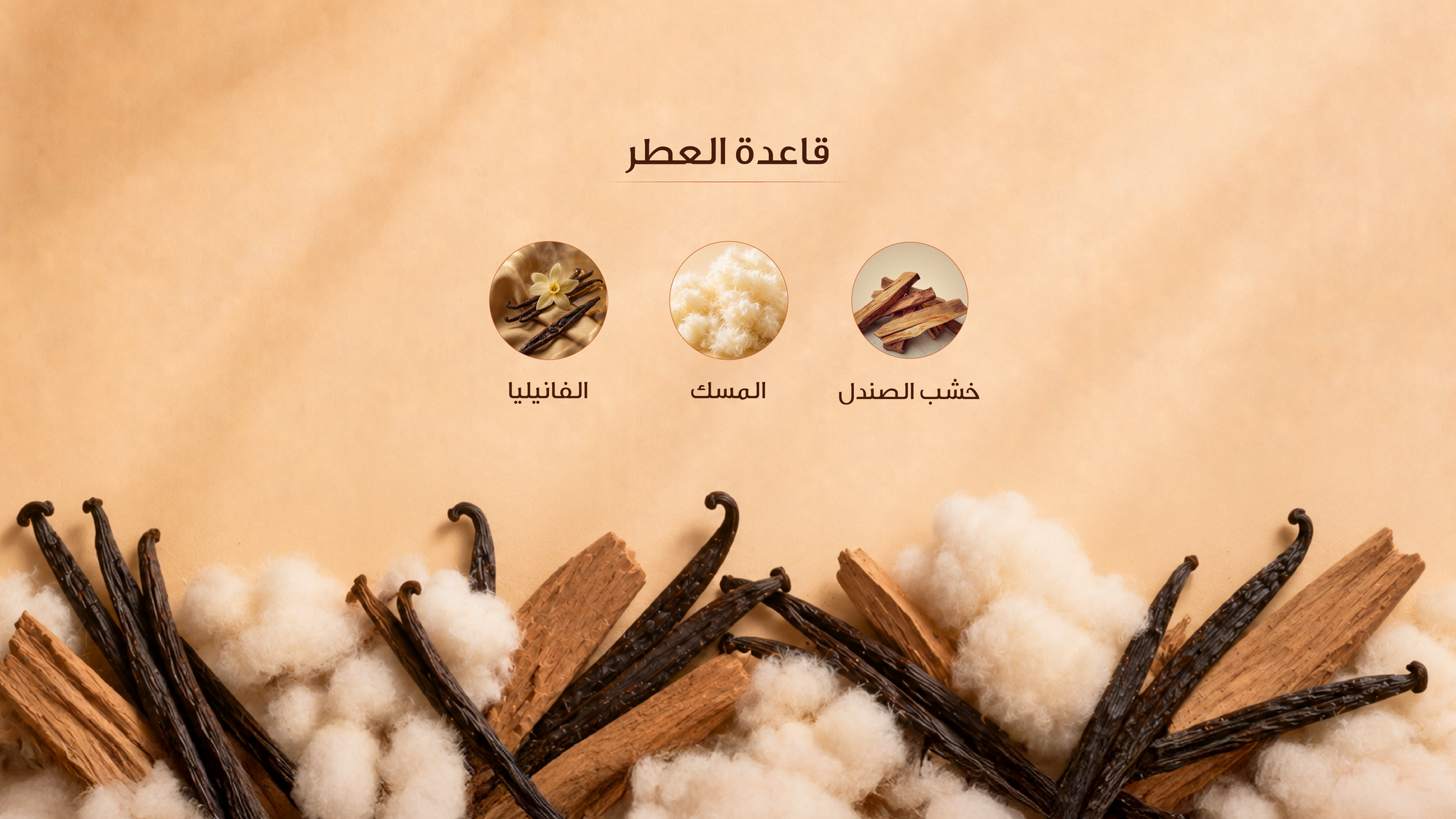 نوتات القاعدة