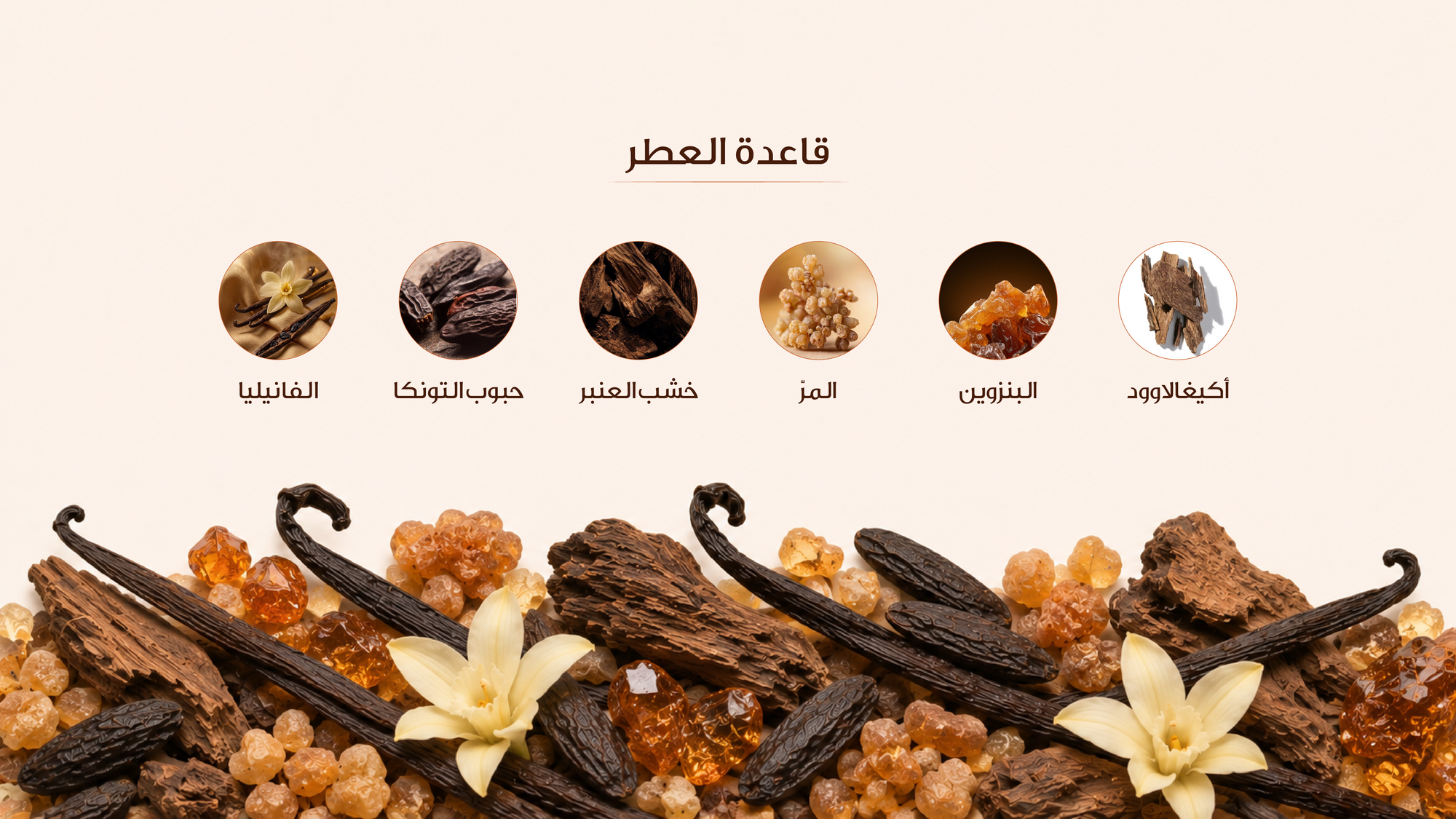 نوتات القاعدة