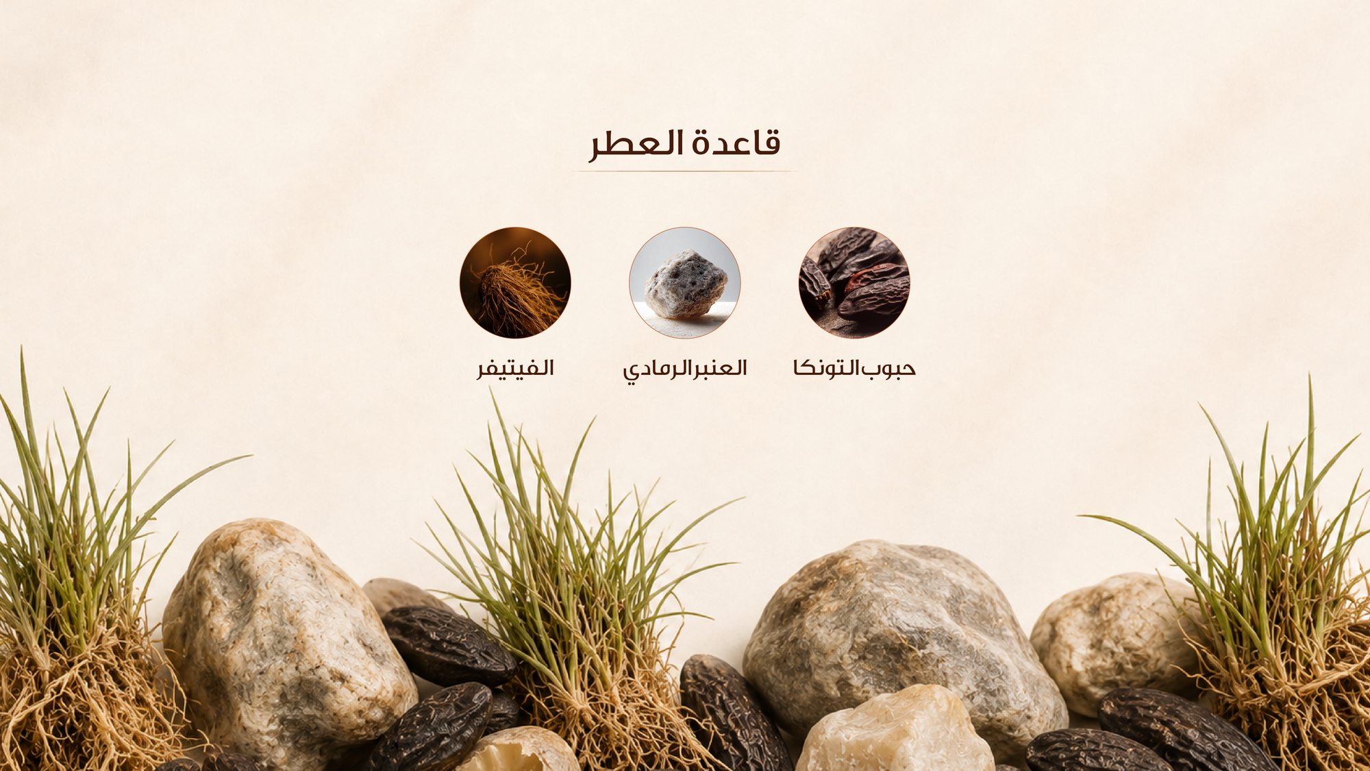 نوتات القاعدة