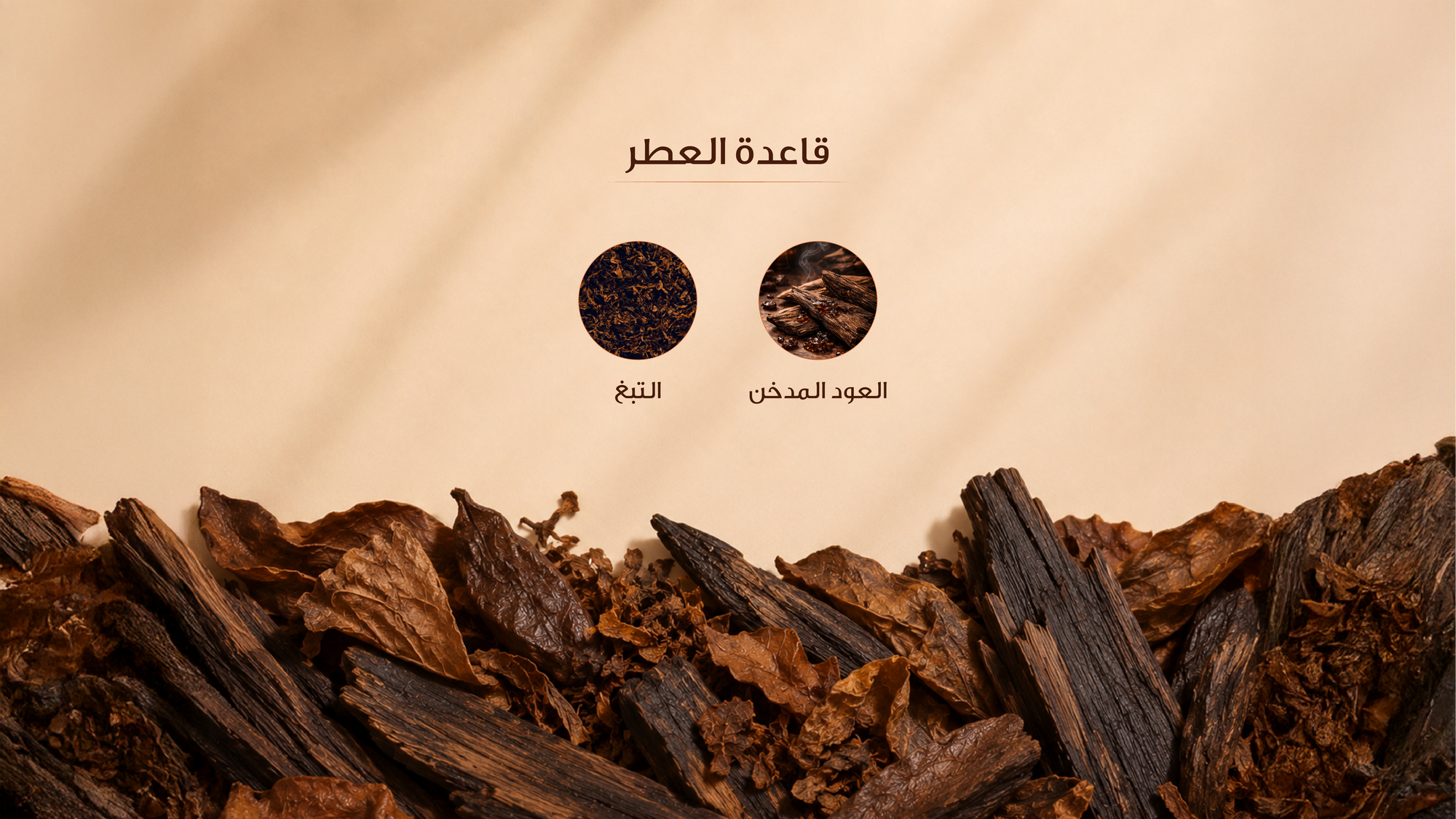 نوتات القاعدة